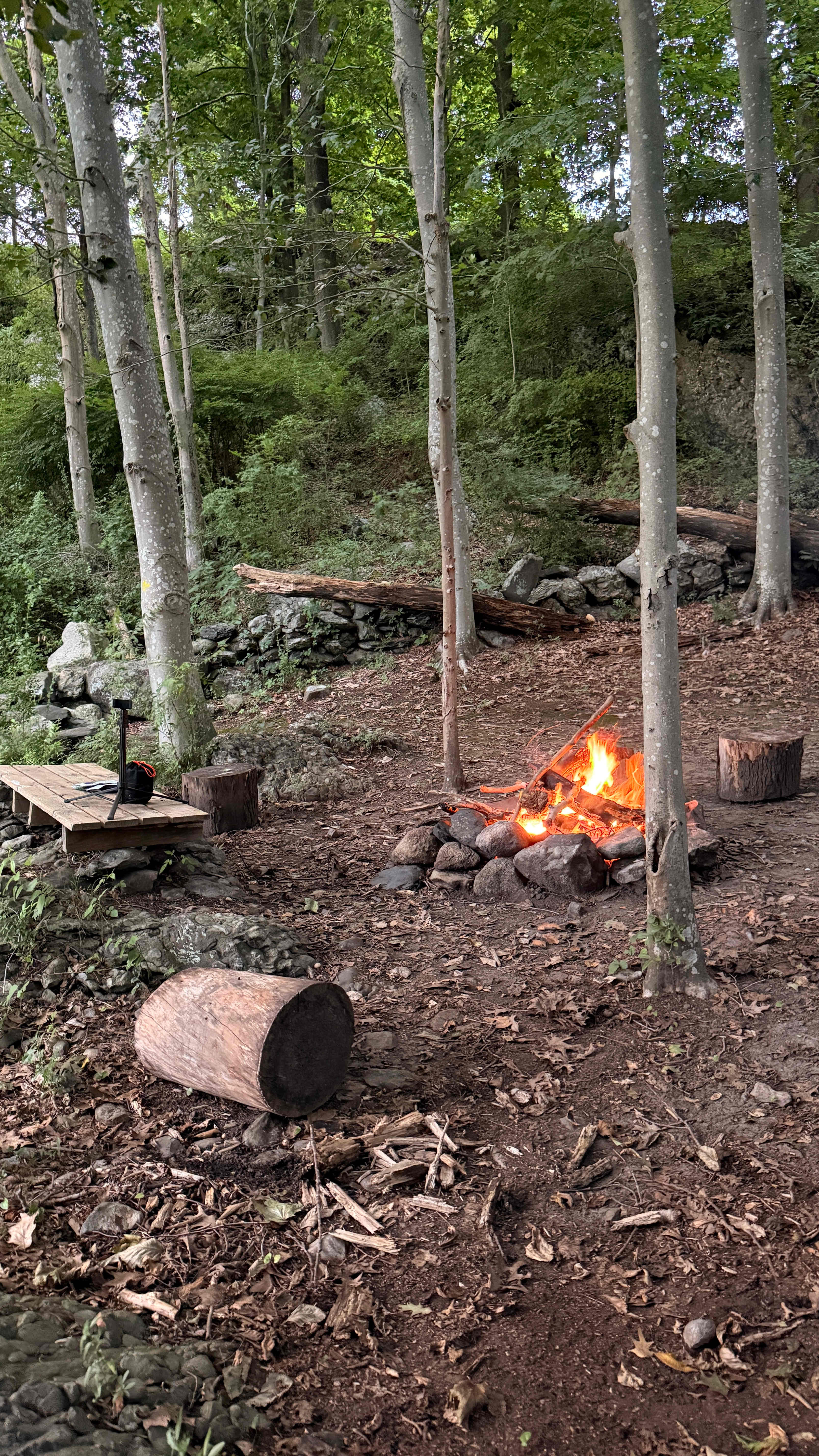 8 Acres Homestead