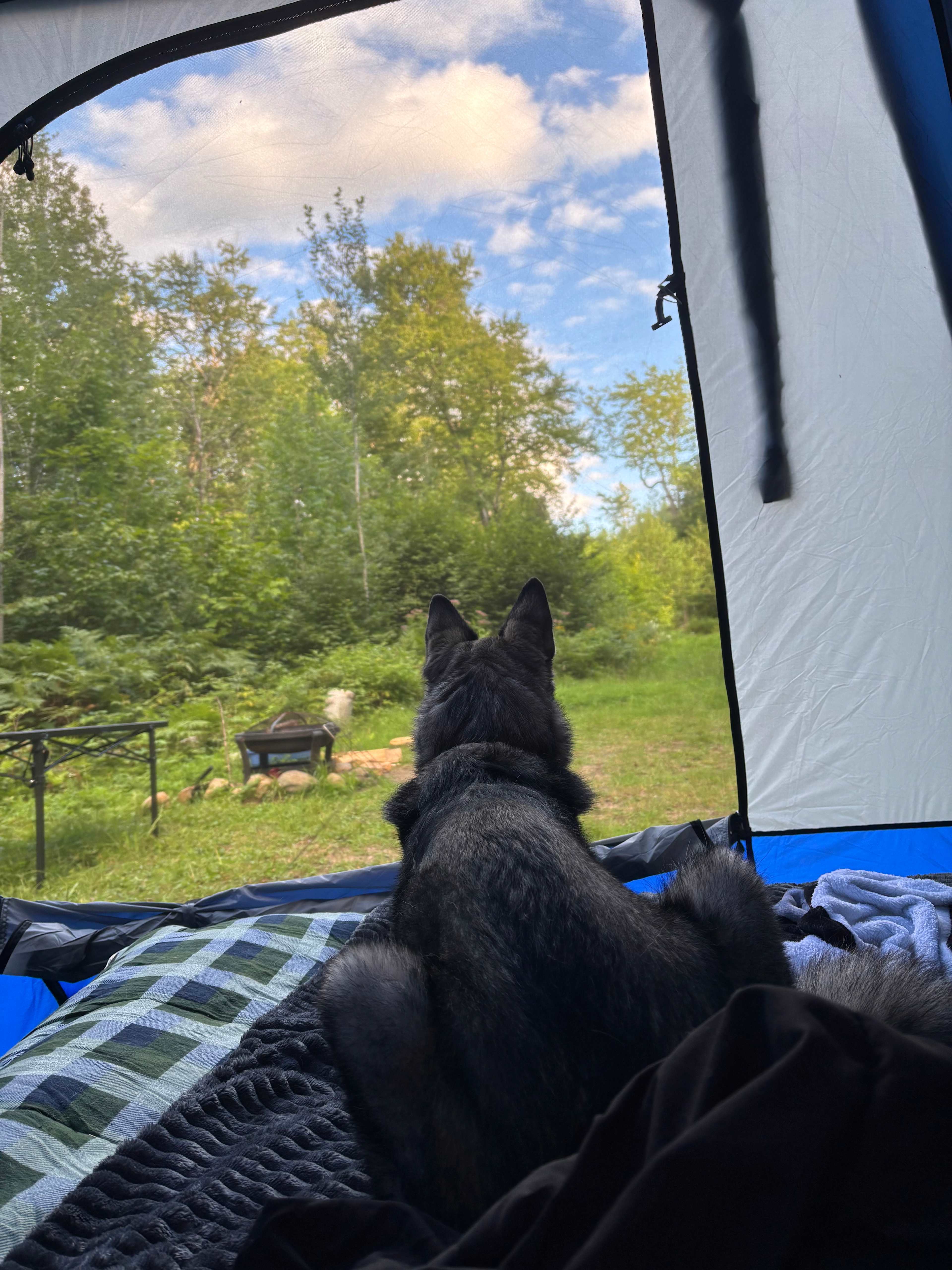 Dobedo Camps