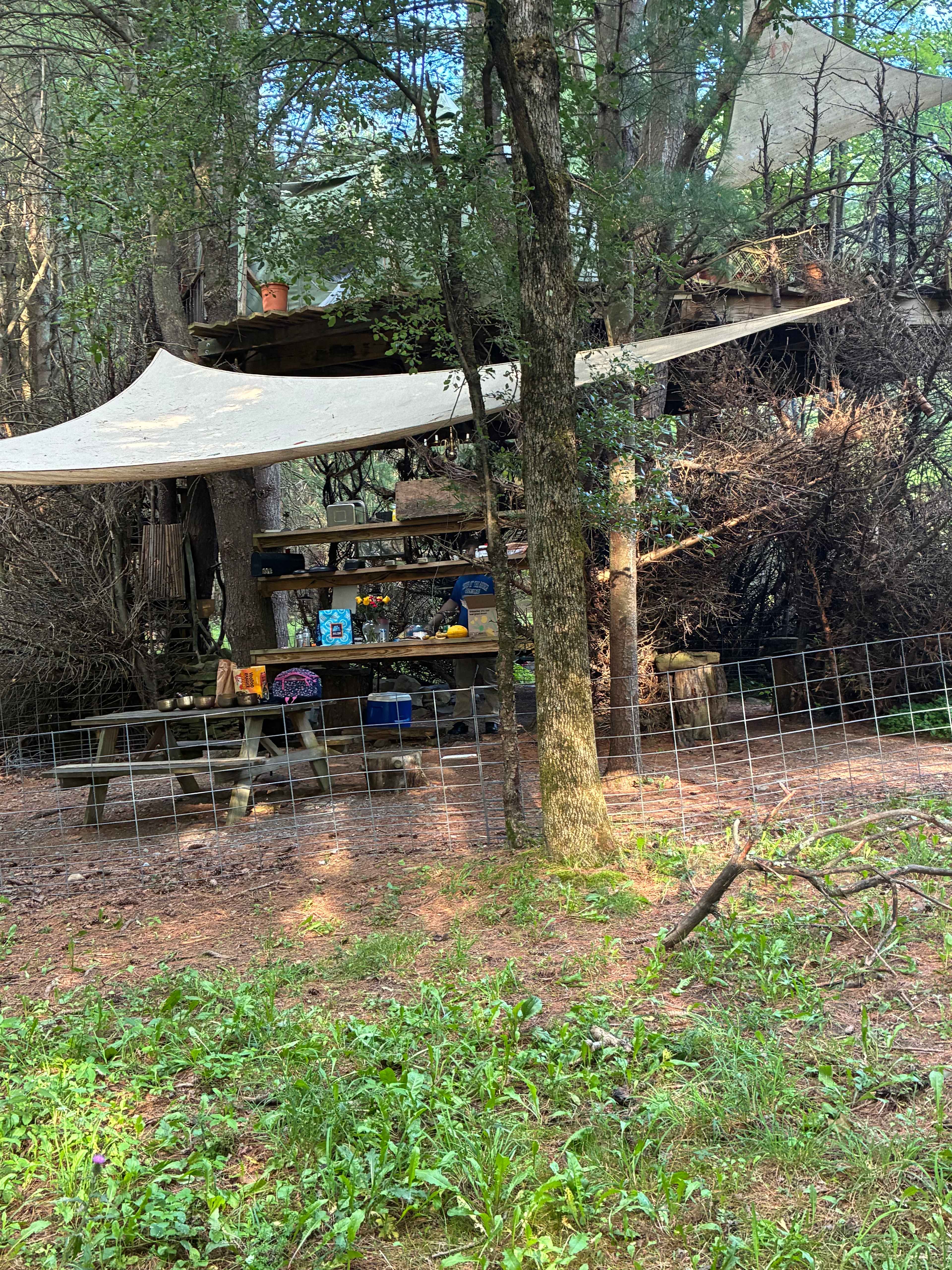 Escape...to Mariaville Goat Farm!