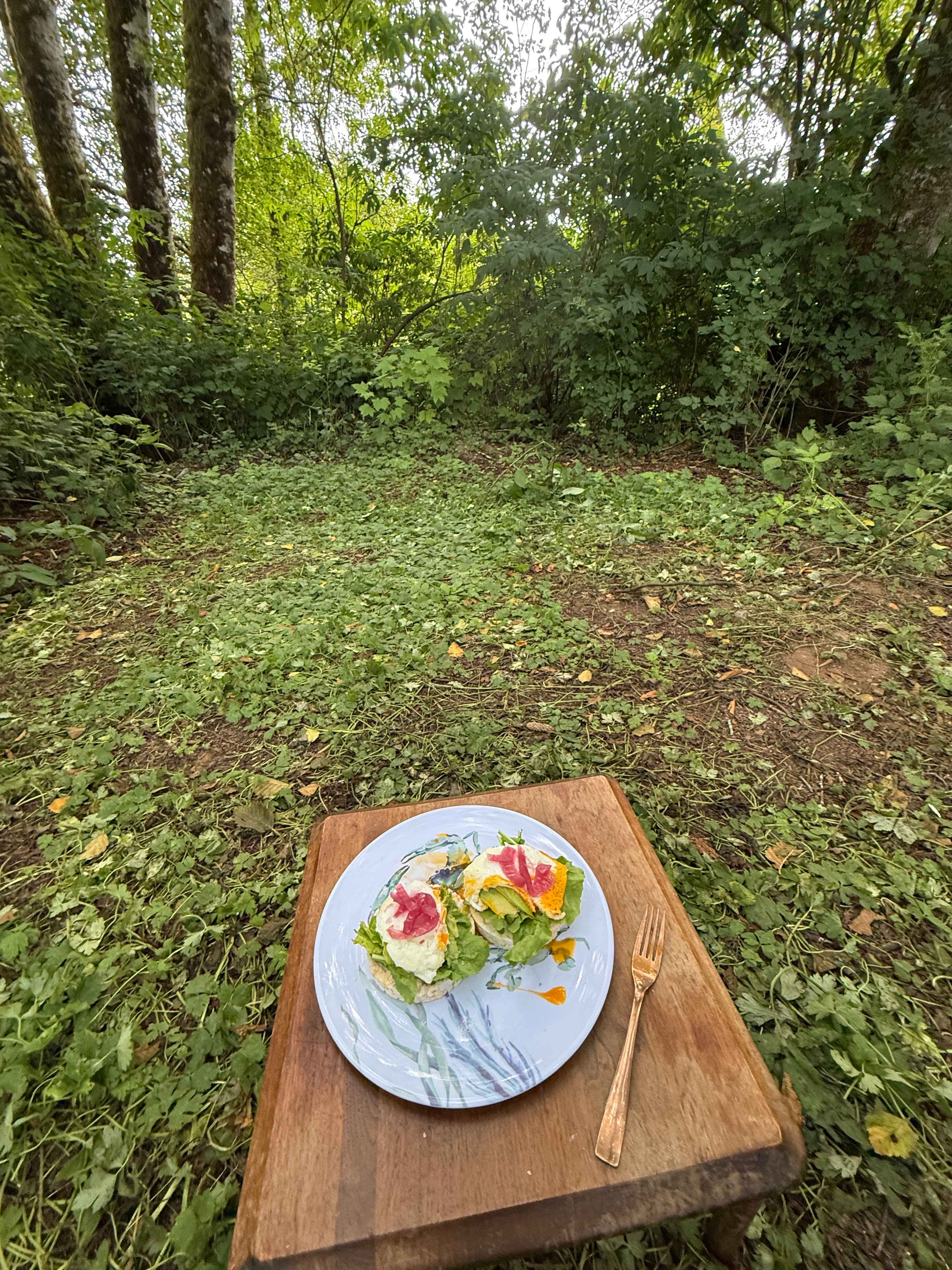 Picture of the site
