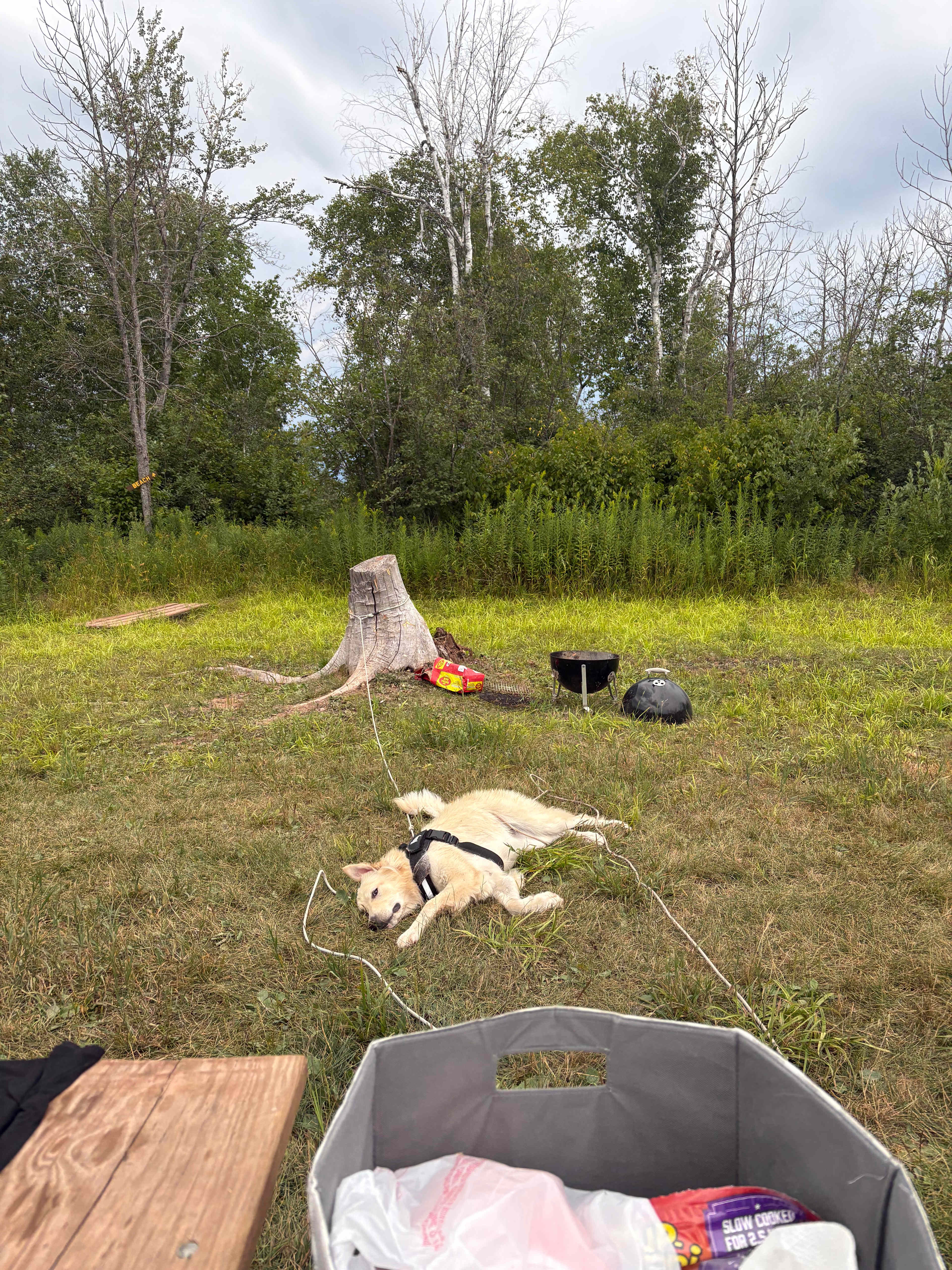Superior Beach Camp