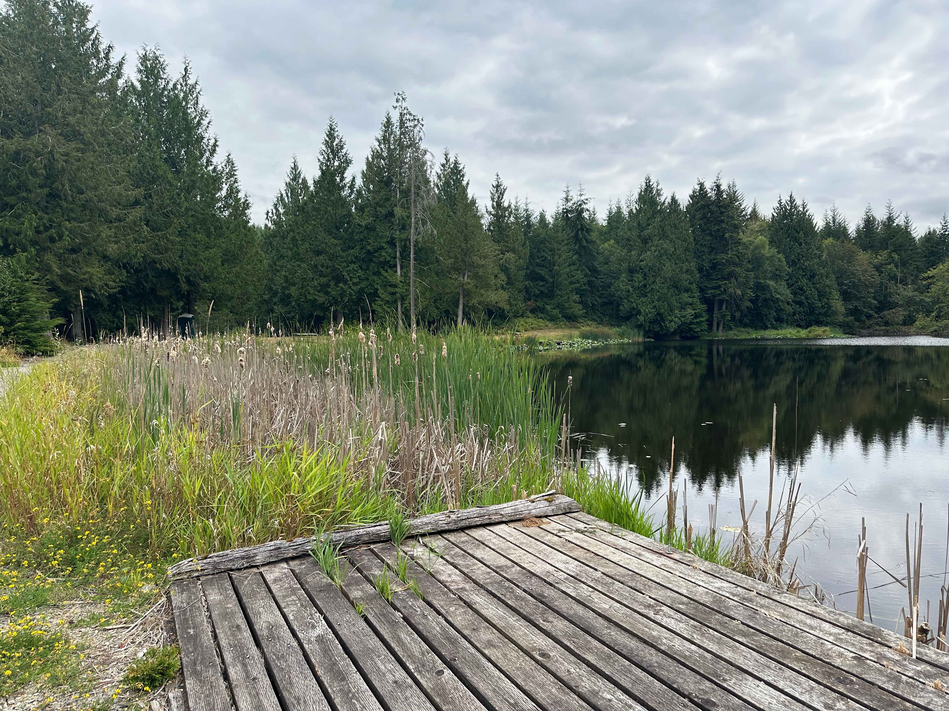 View from the dock to another port-a-potty and more campsites