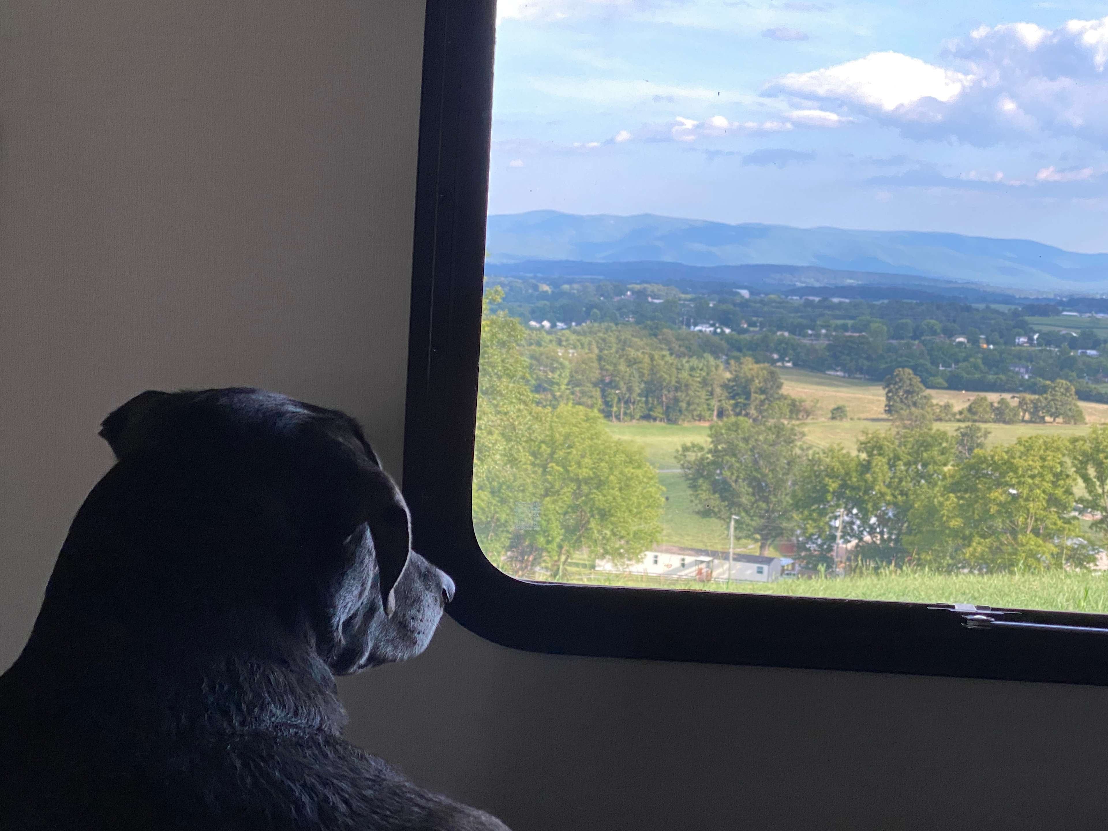 Dices Spring Farm Camp & Views