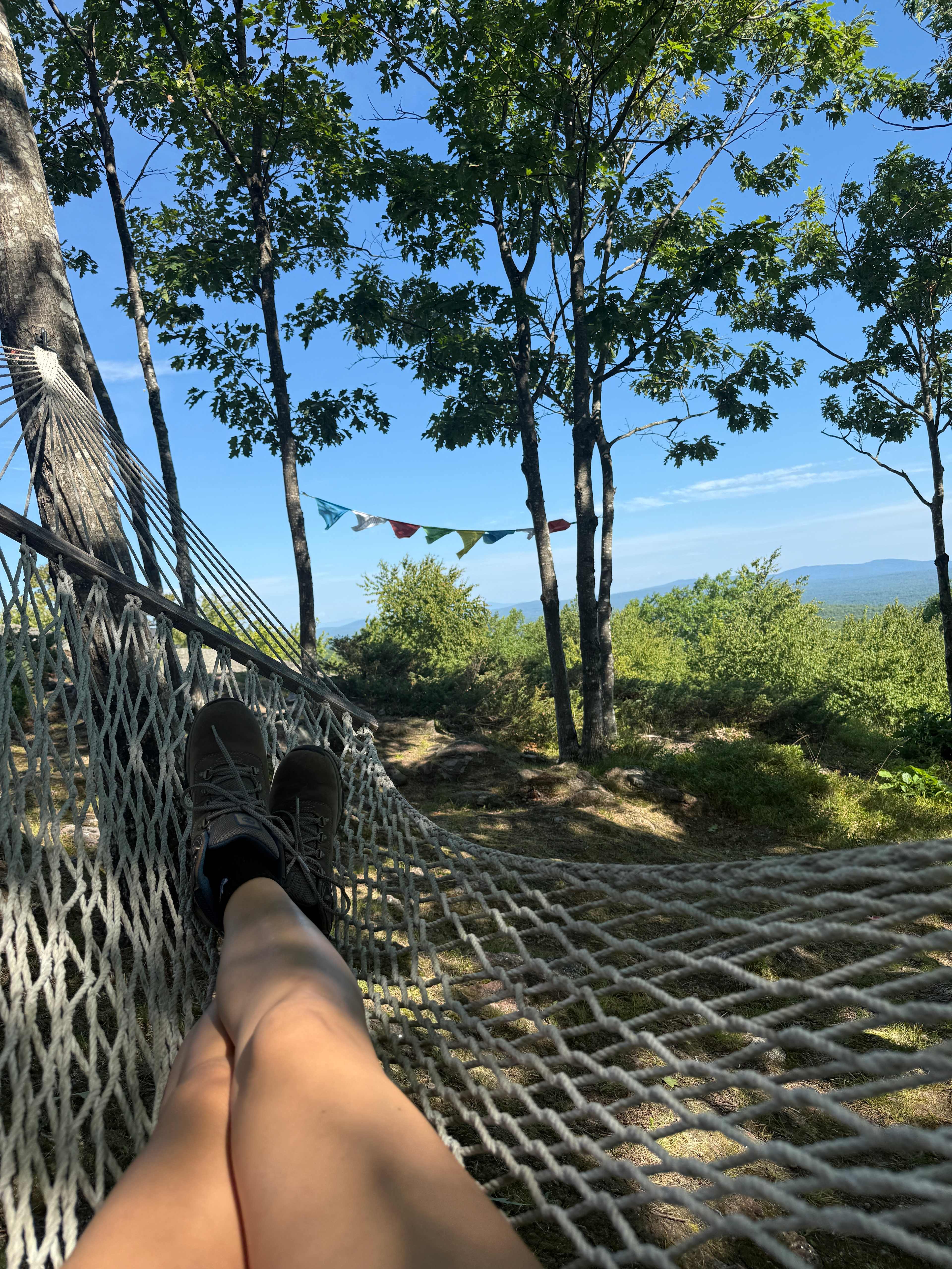 Hussey Mountain Tree Farm