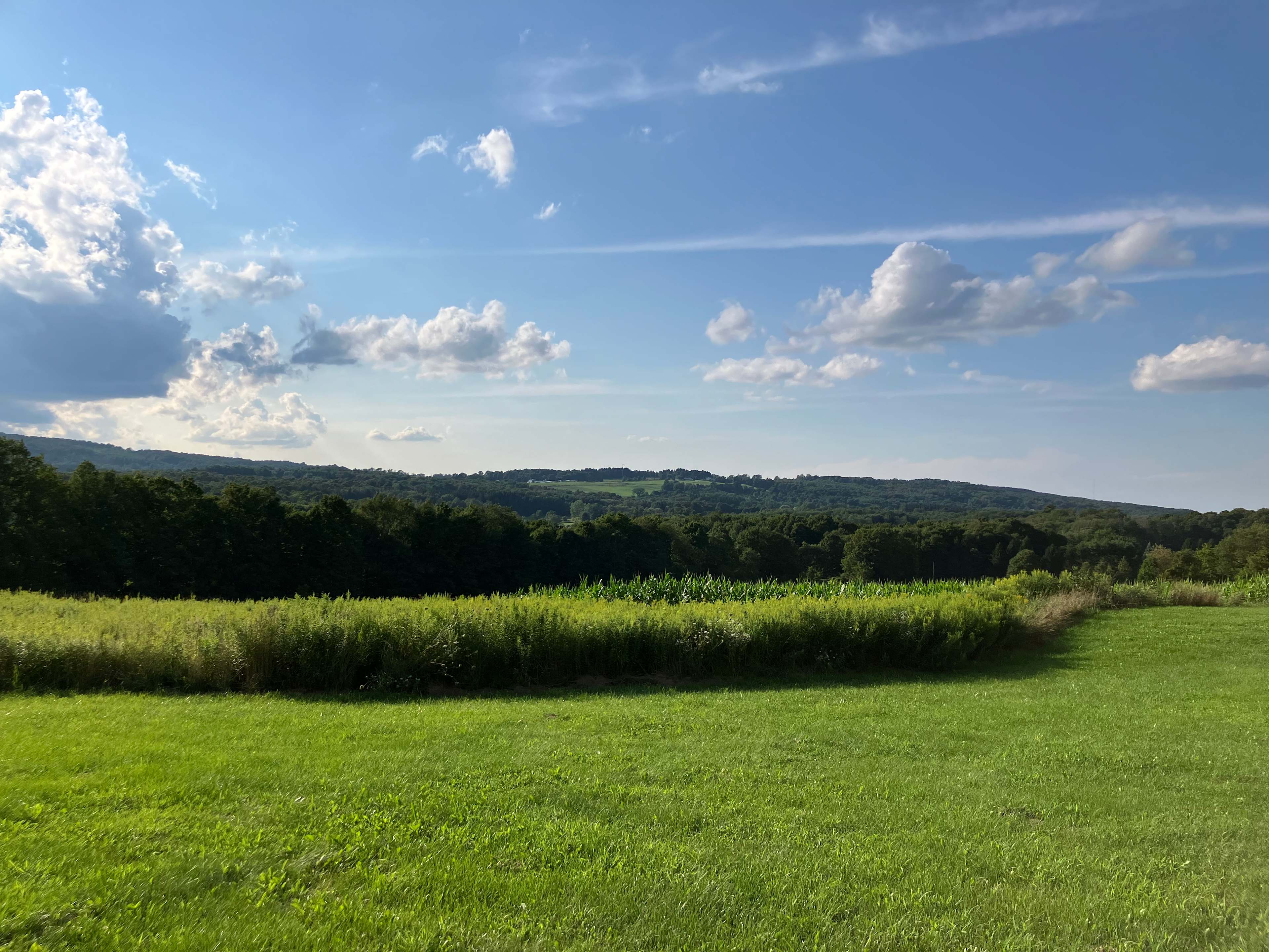 Bramble Hill
