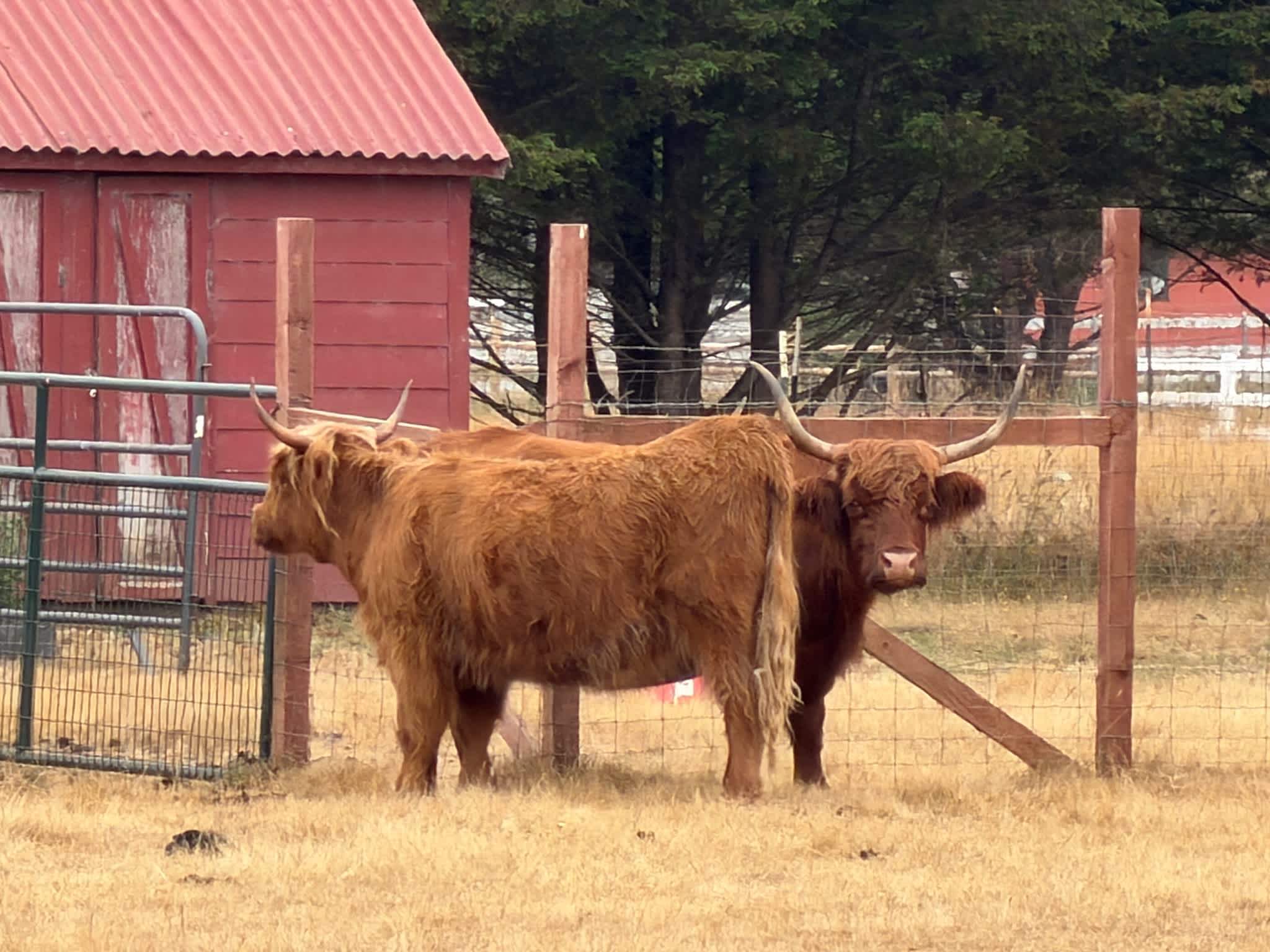 Ossia Village Farm