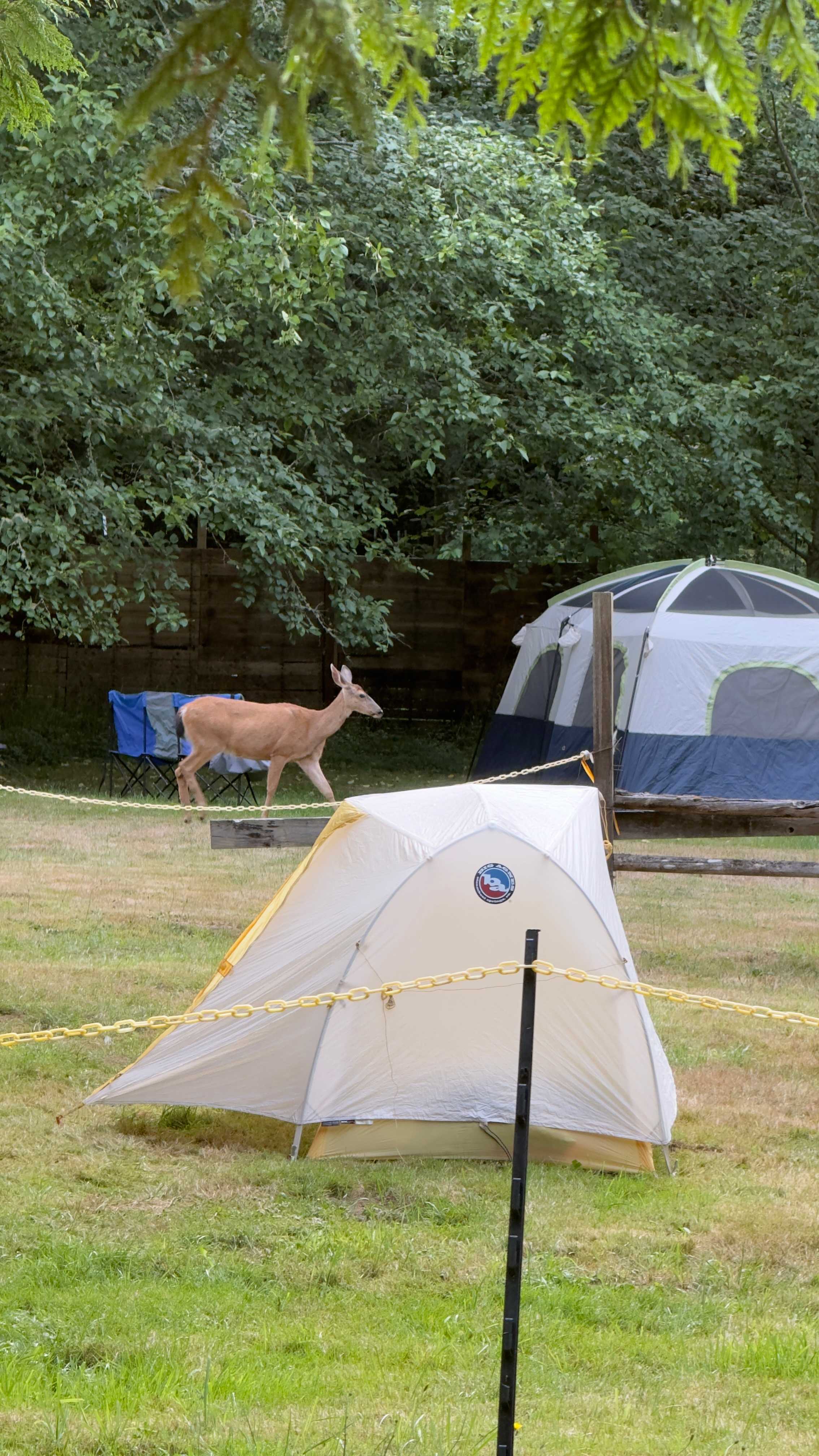 Glamping at the Gateway