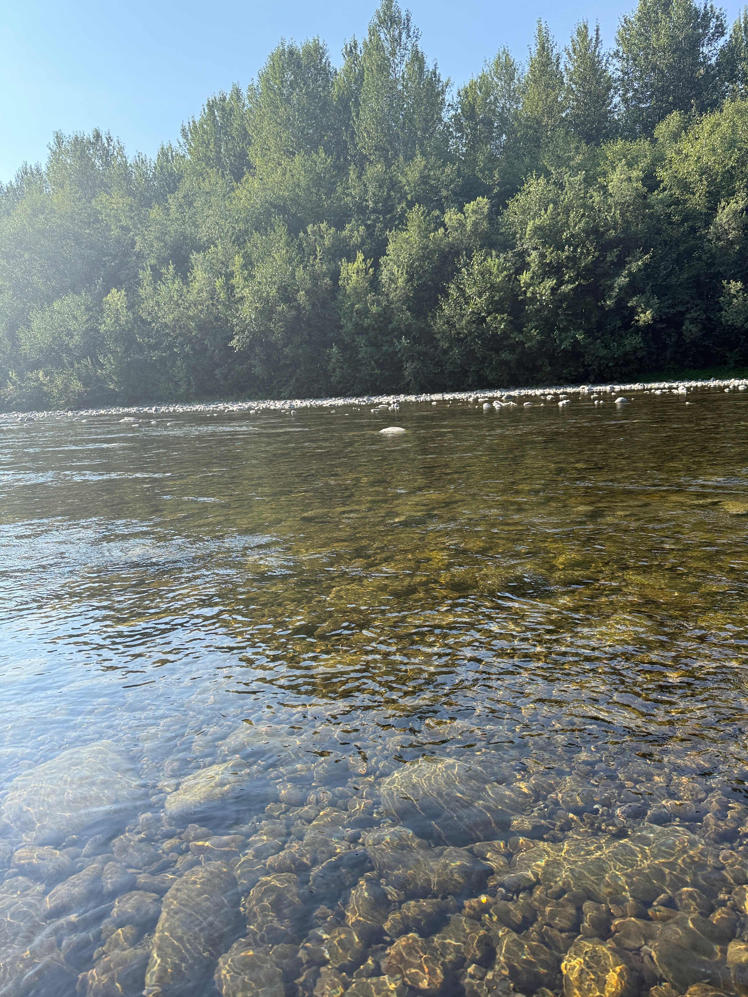 Calm Waters