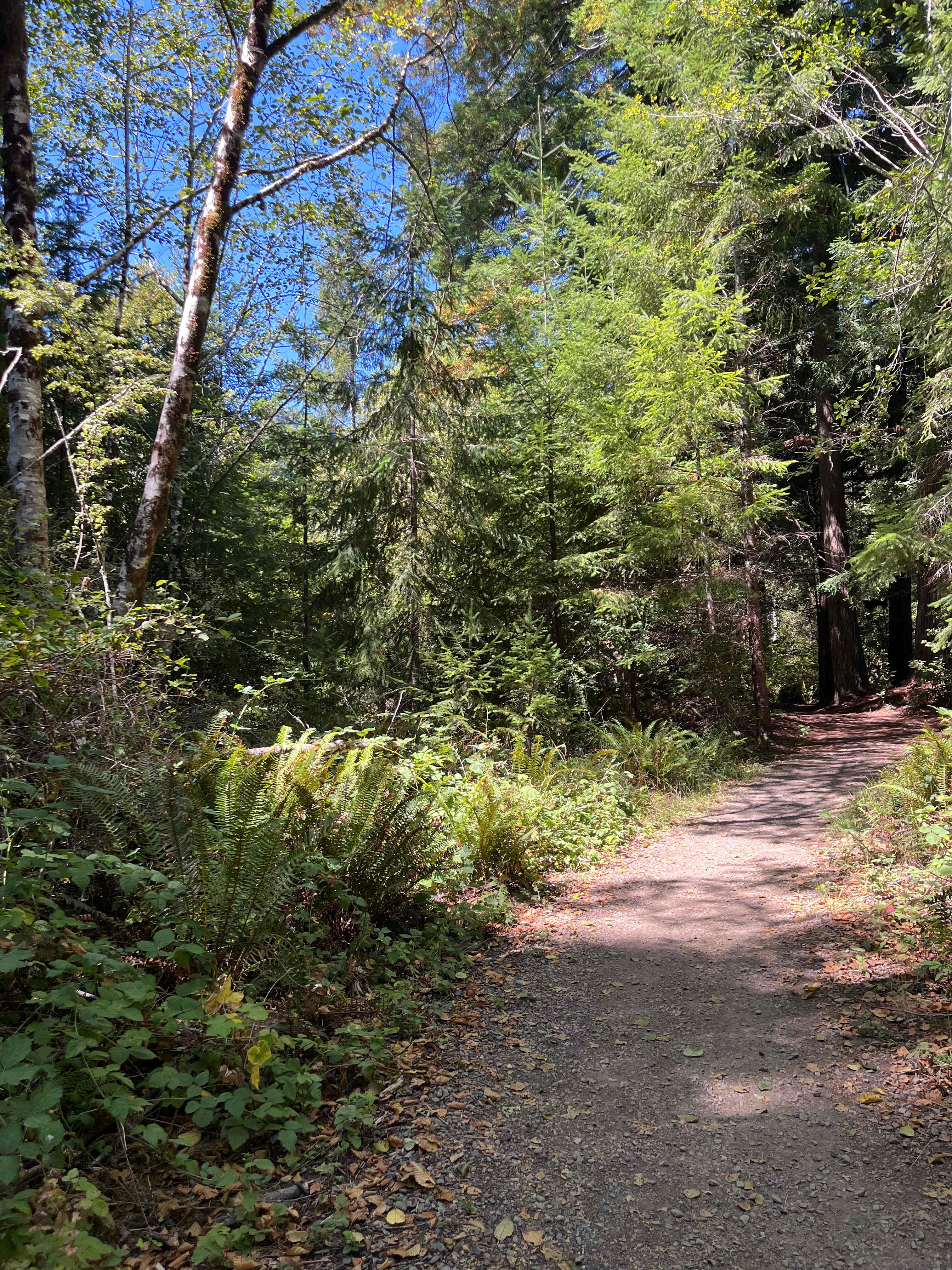 Another trail shot