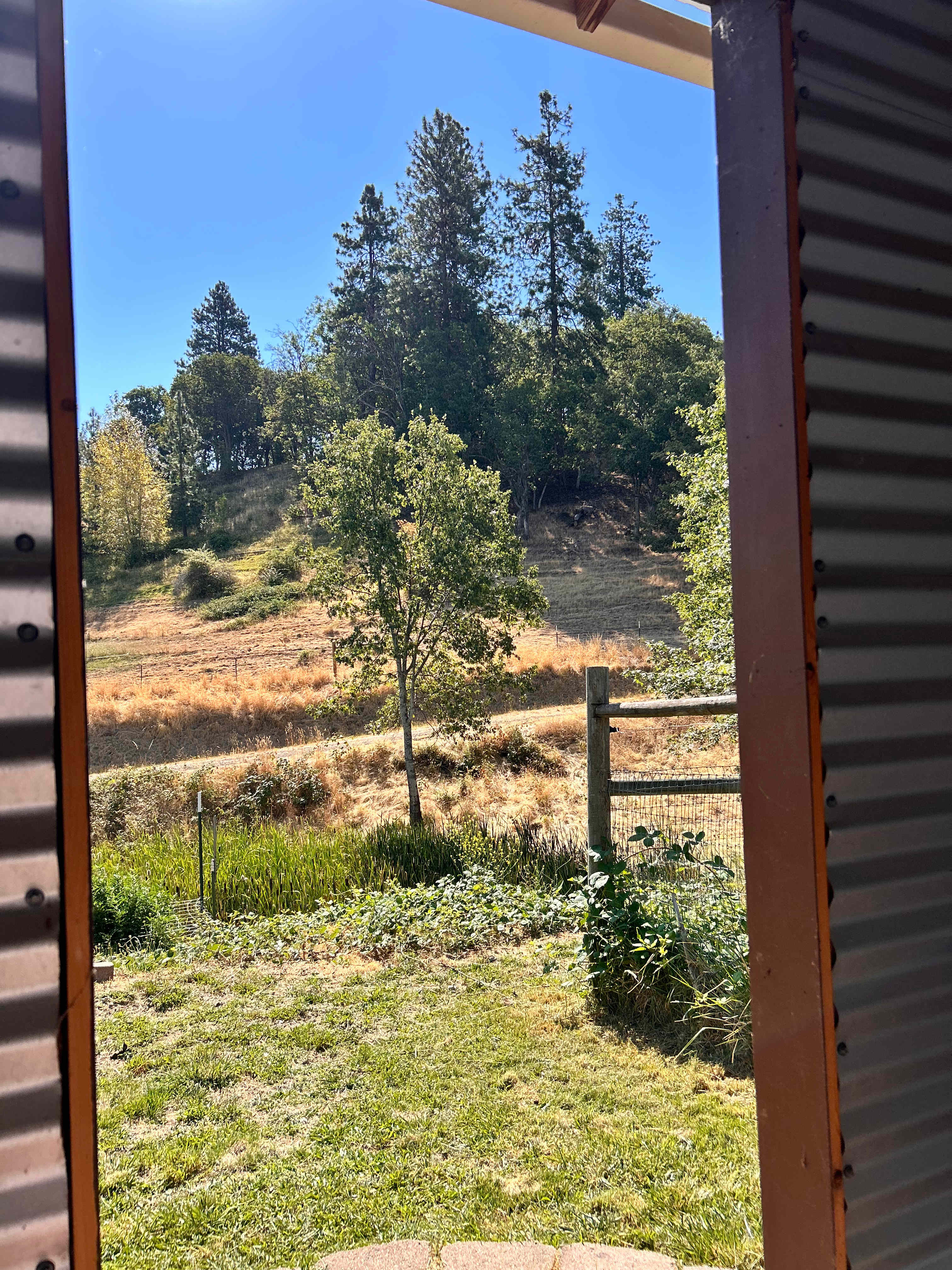 View from the bathroom