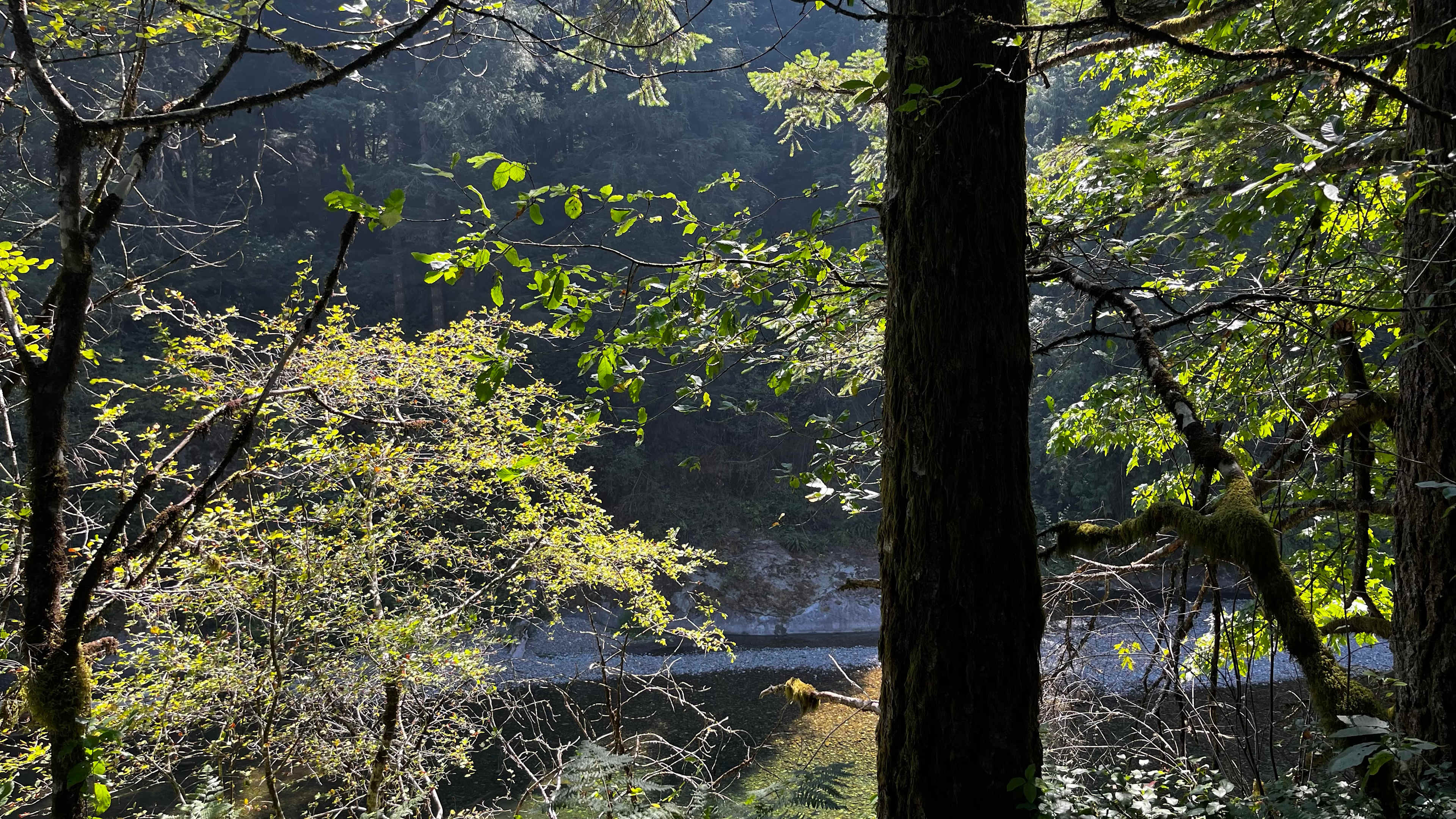 View from the path 