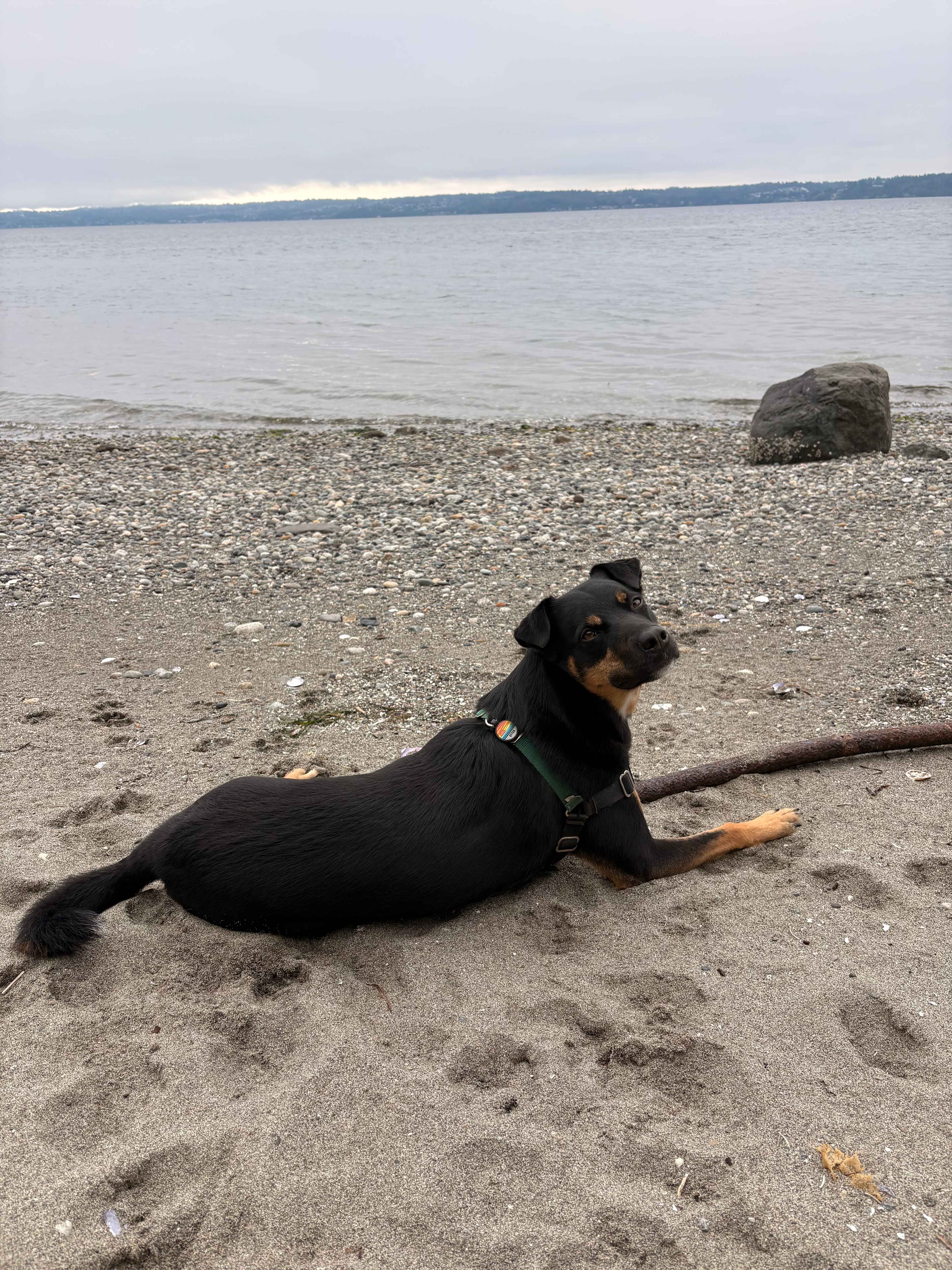 Two Bluff Campsites With Beach Access