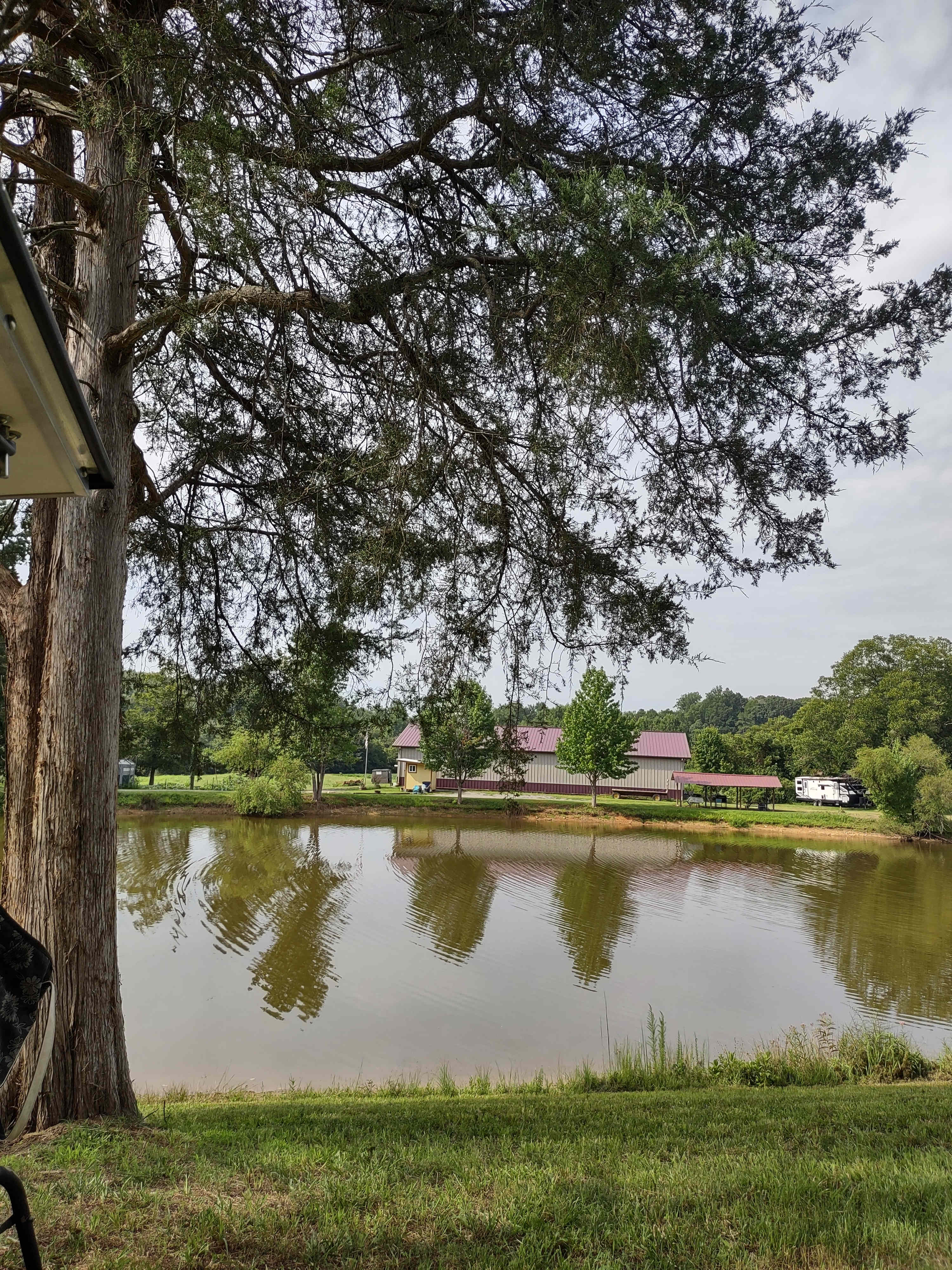 Pond site B