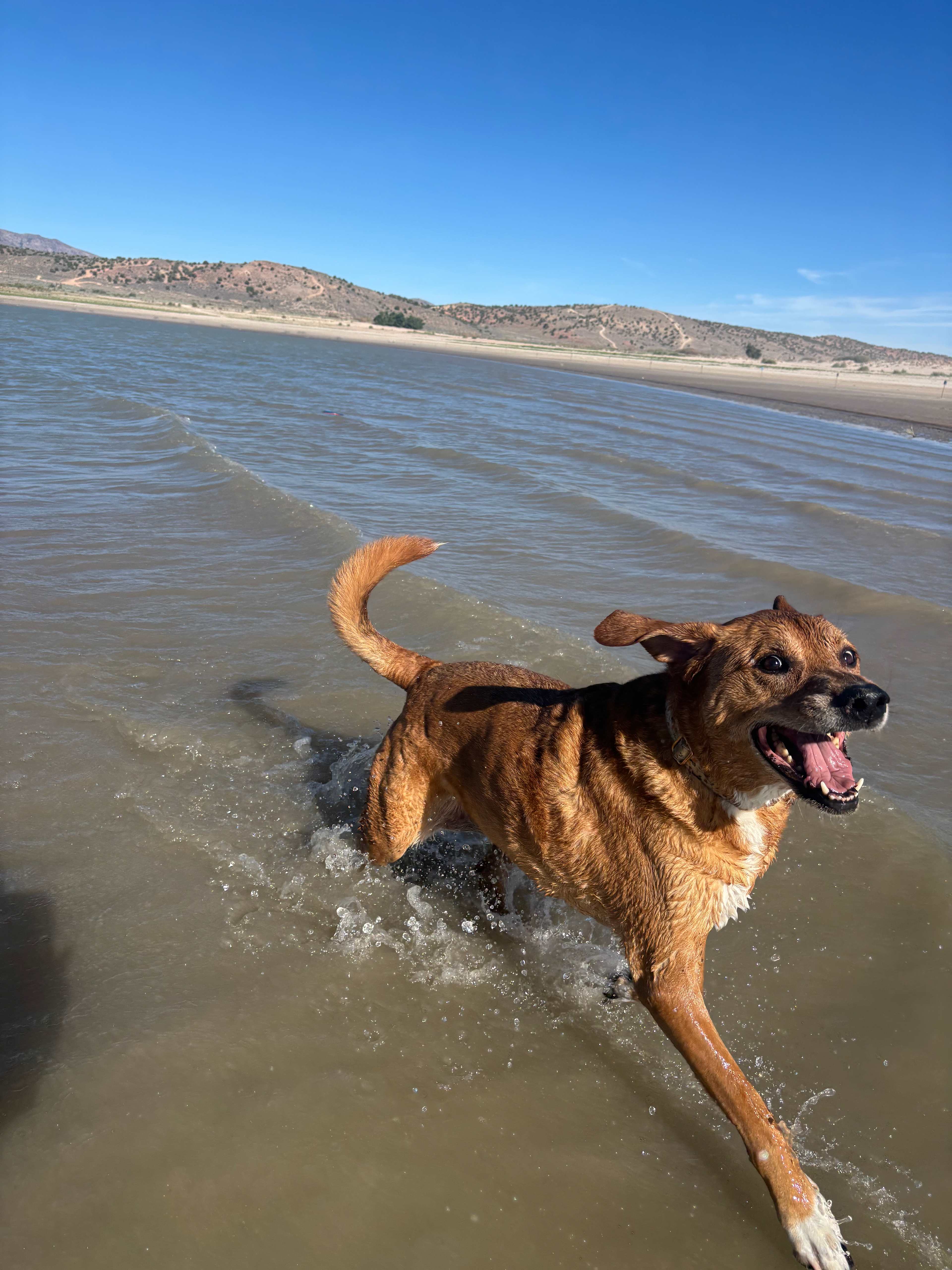 Sandy Beach