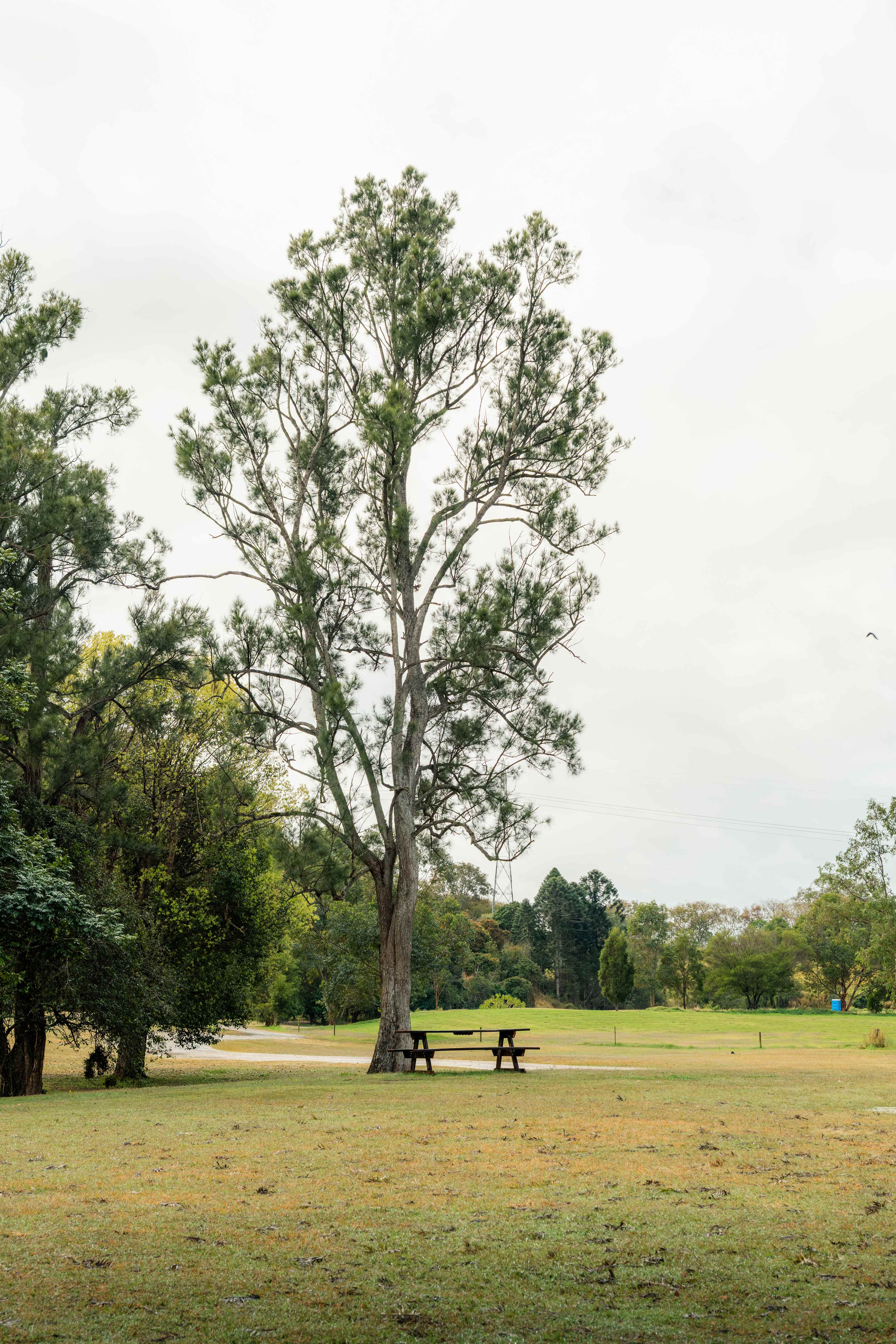 Kenilworth Camping