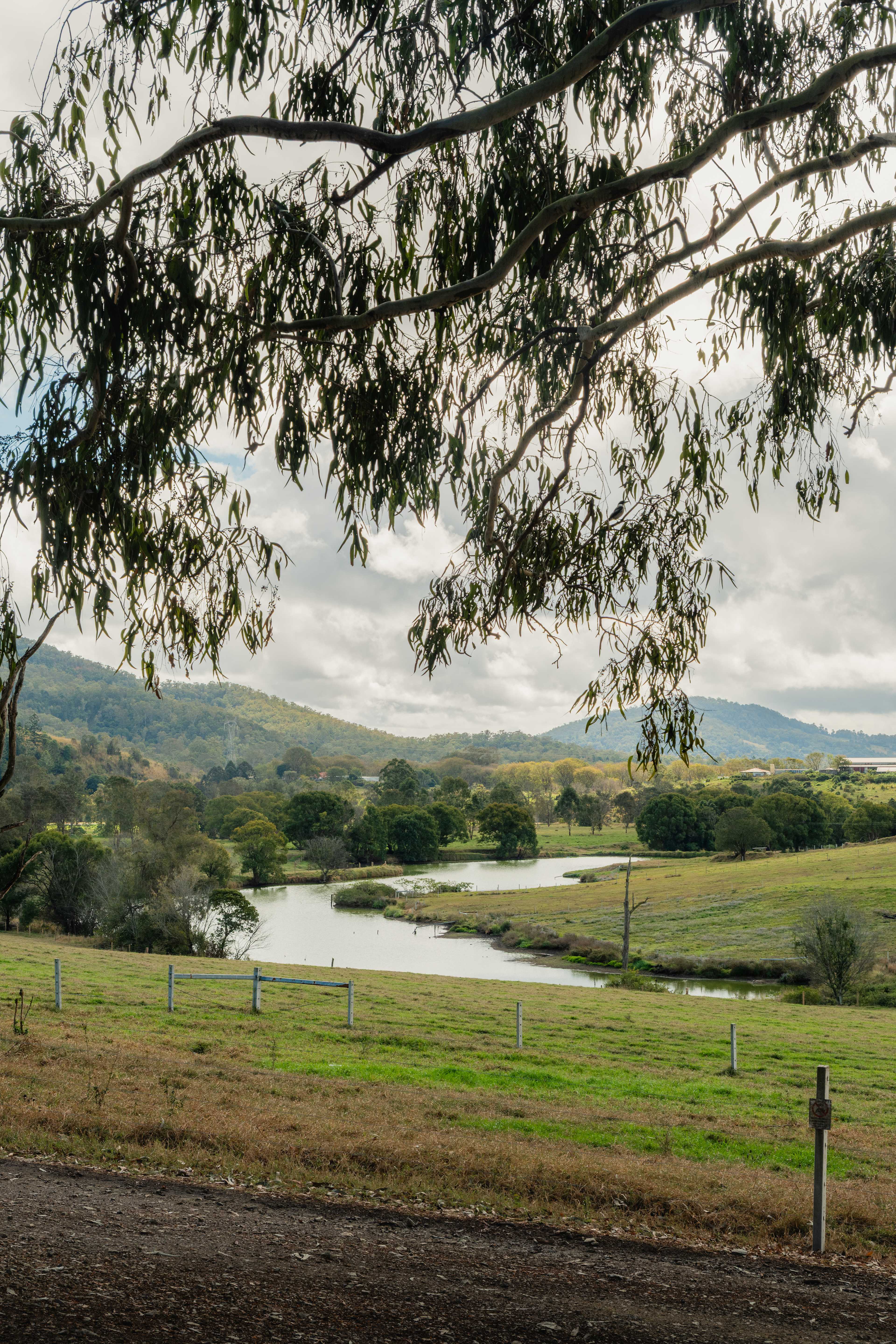 Kenilworth Camping
