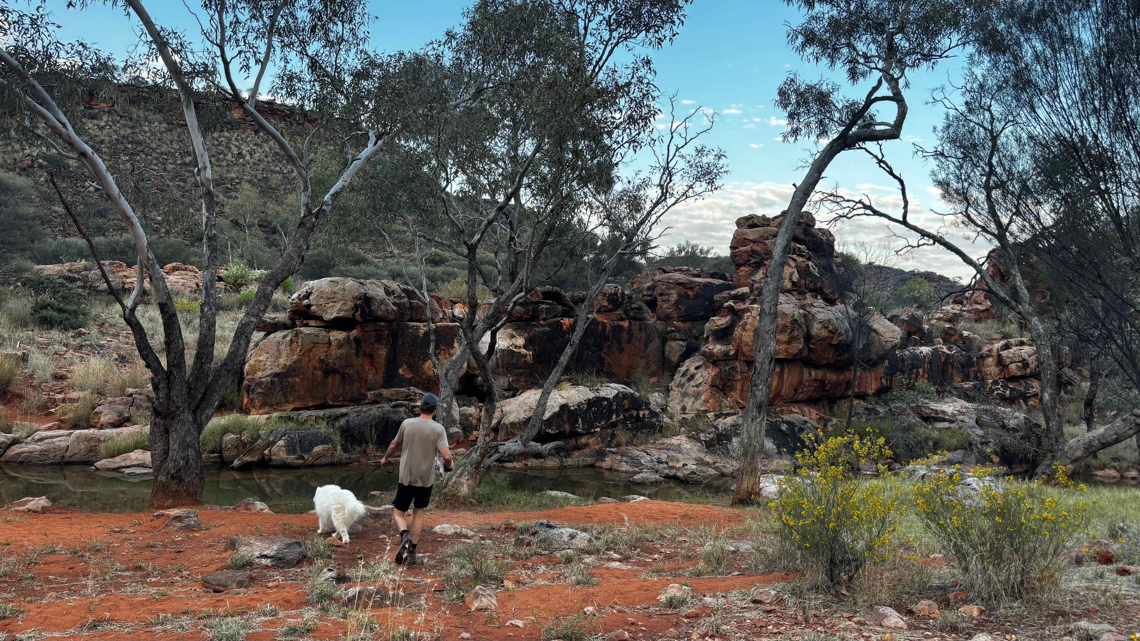 Picture of the site