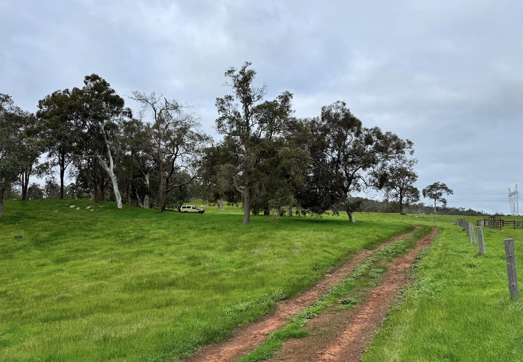Jacaranda Hill Farm