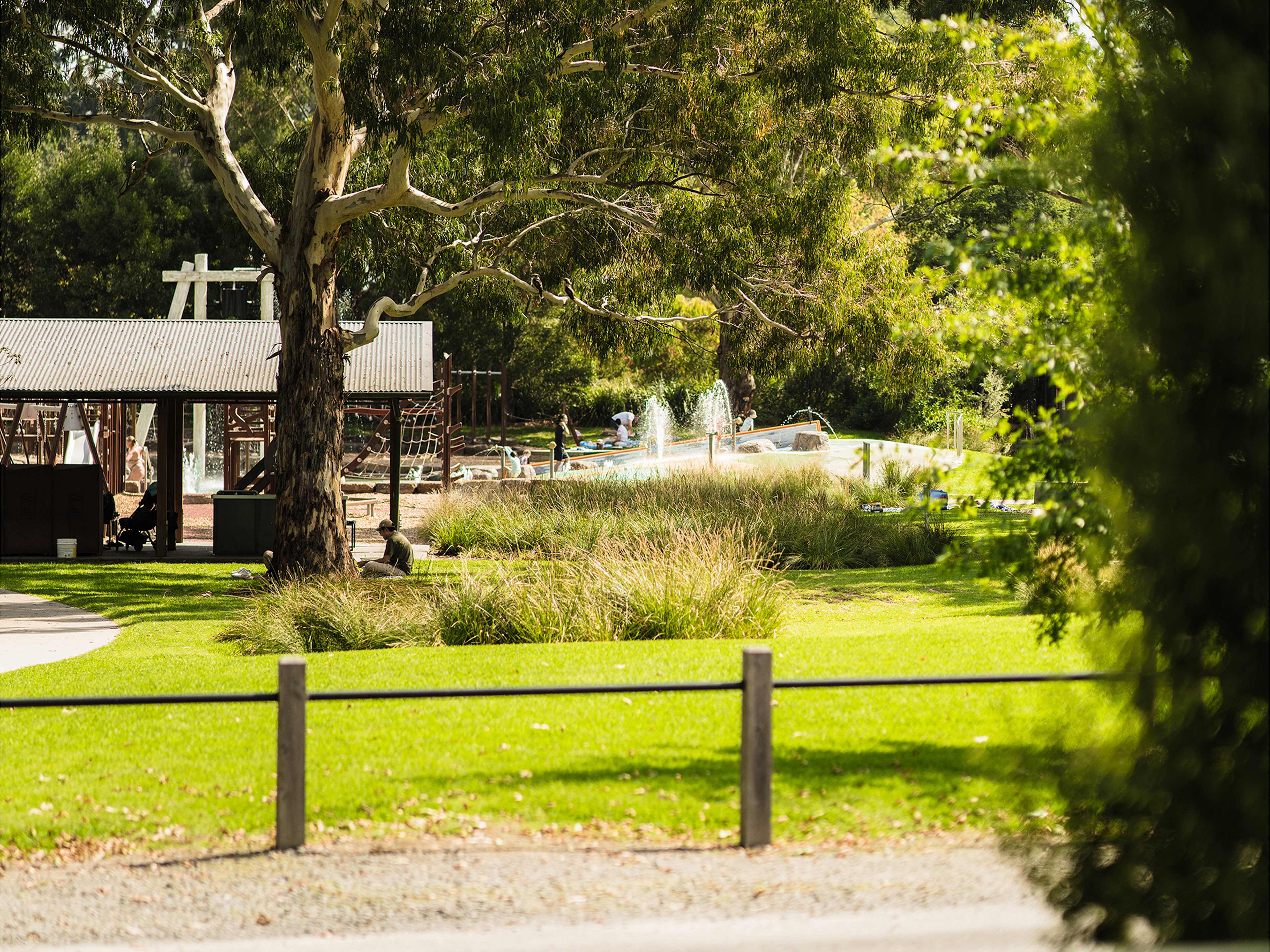 Picture of the site