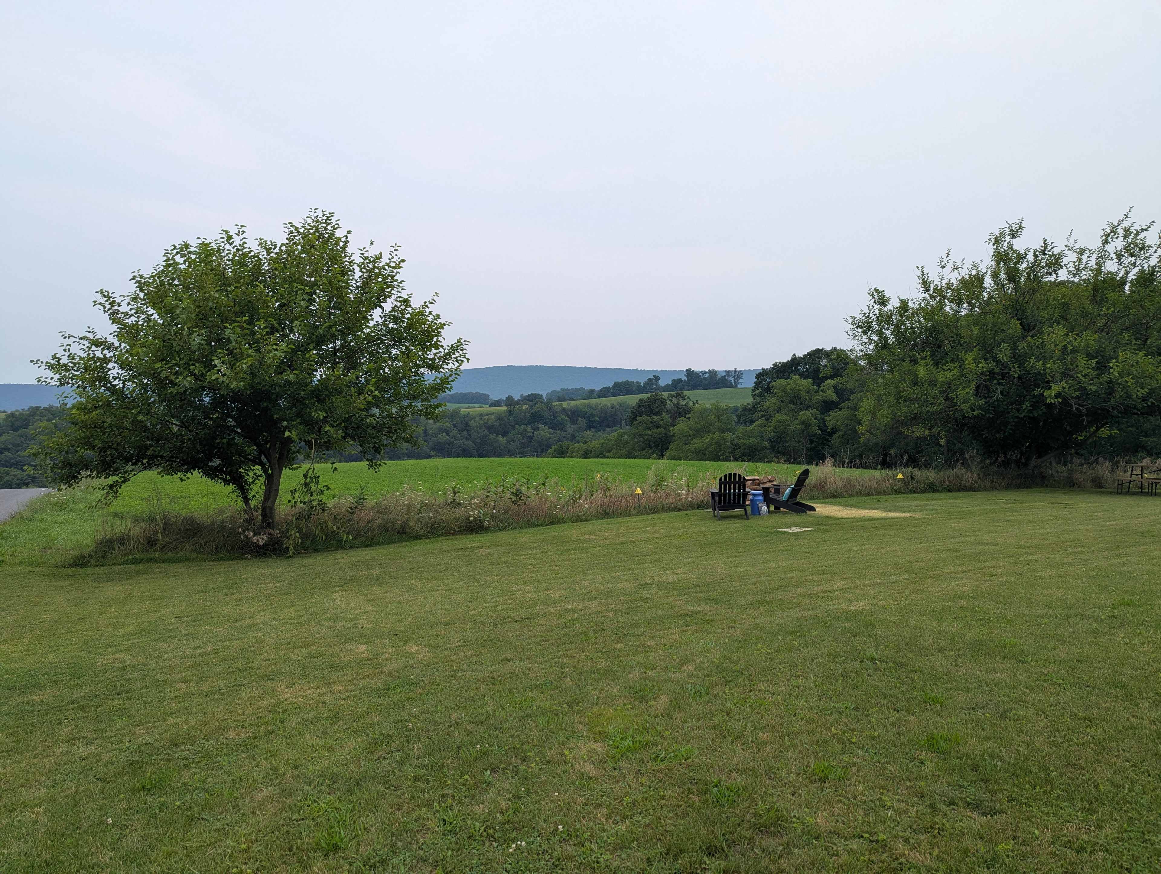 Picture of the site