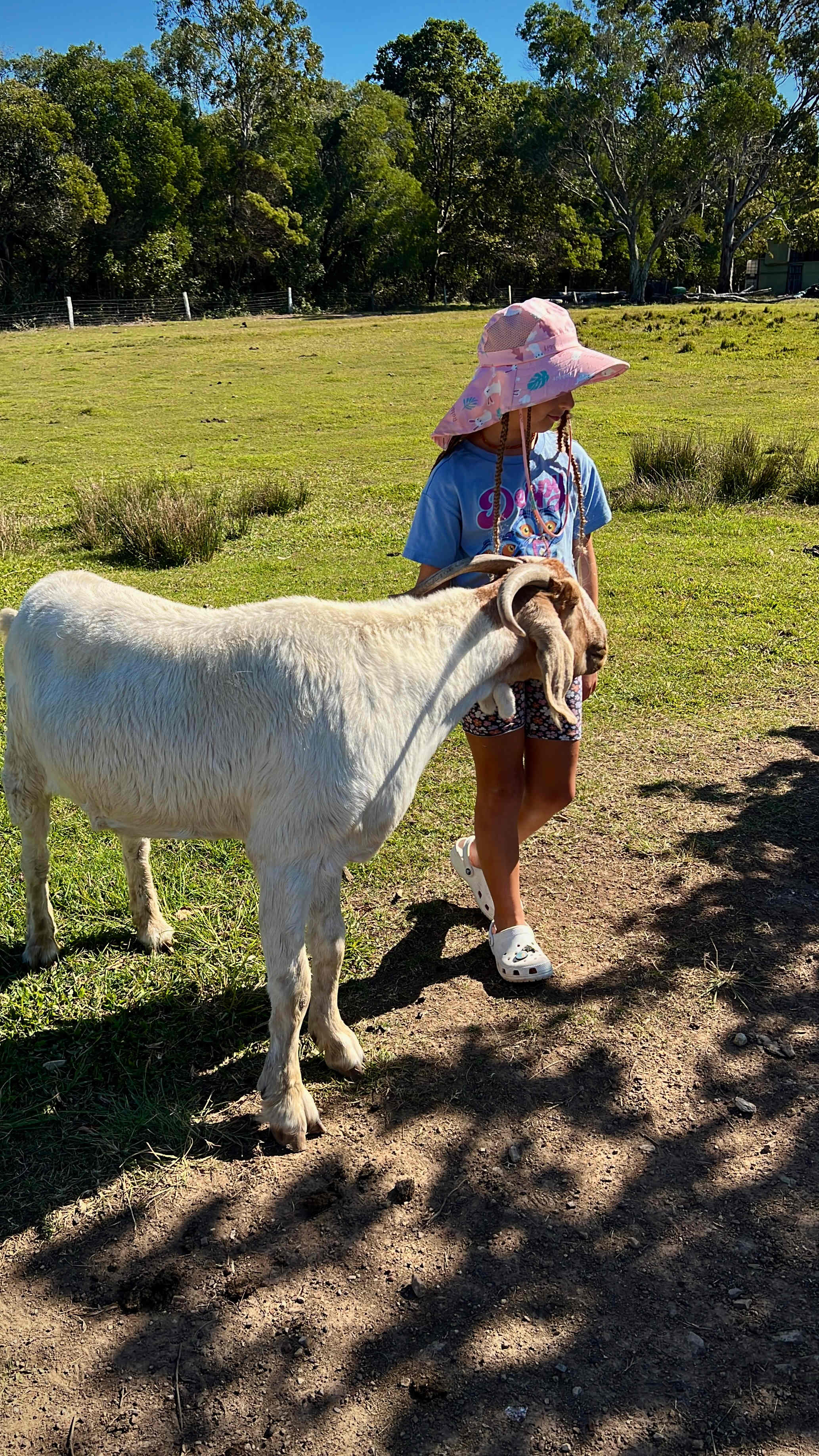 Family Farm