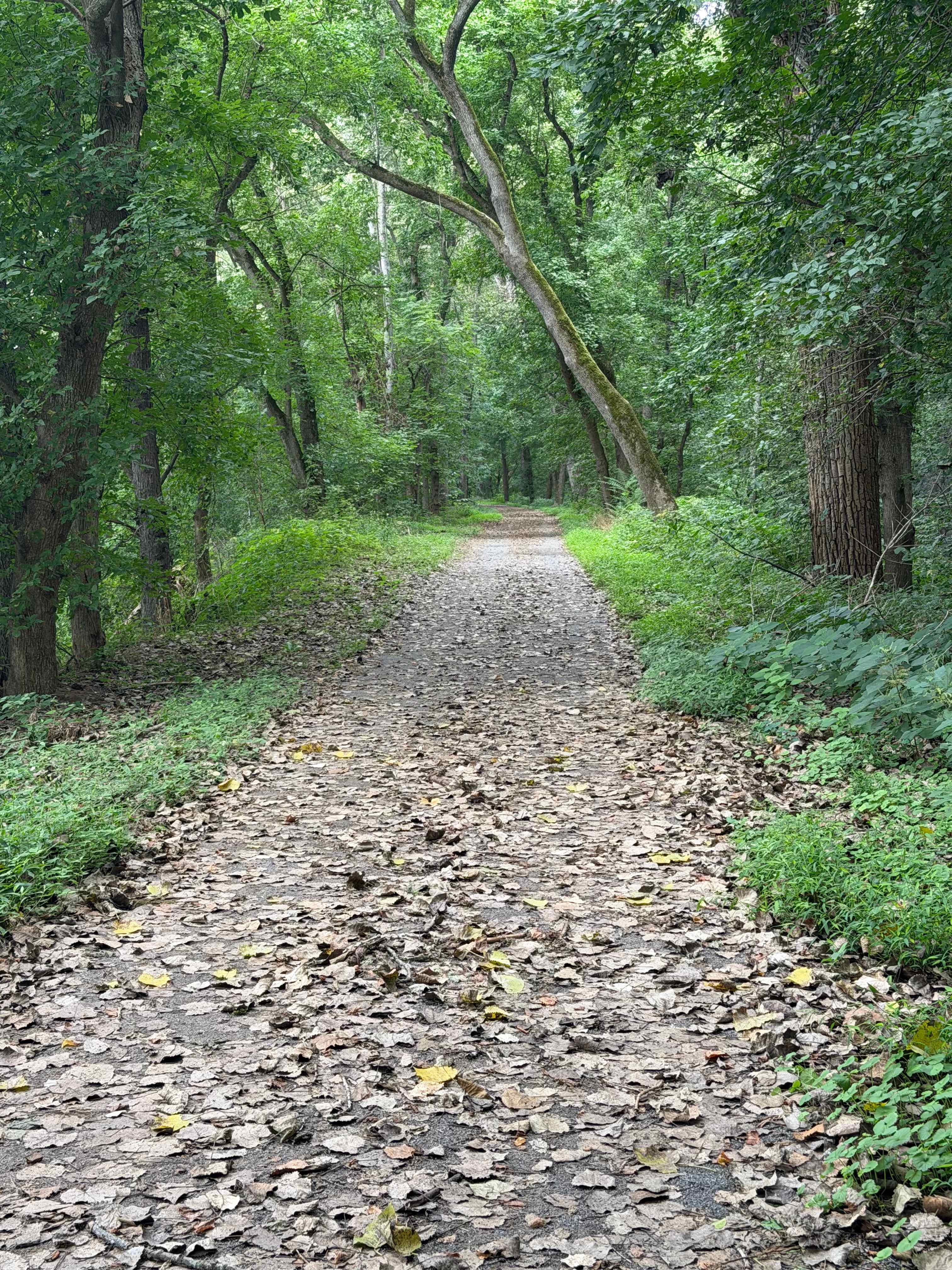 Taylors Landing Camping Club