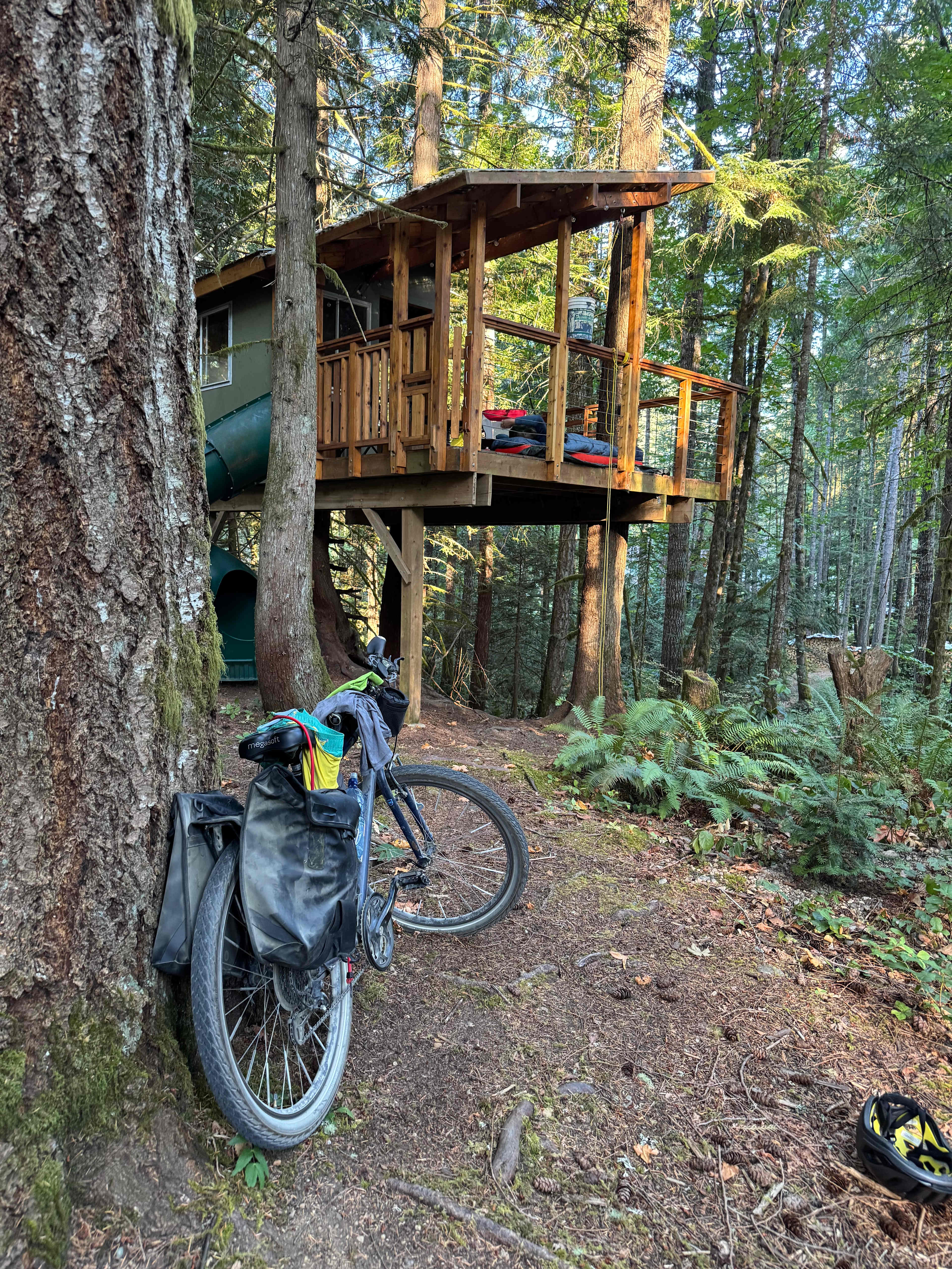 Forest Hideaway