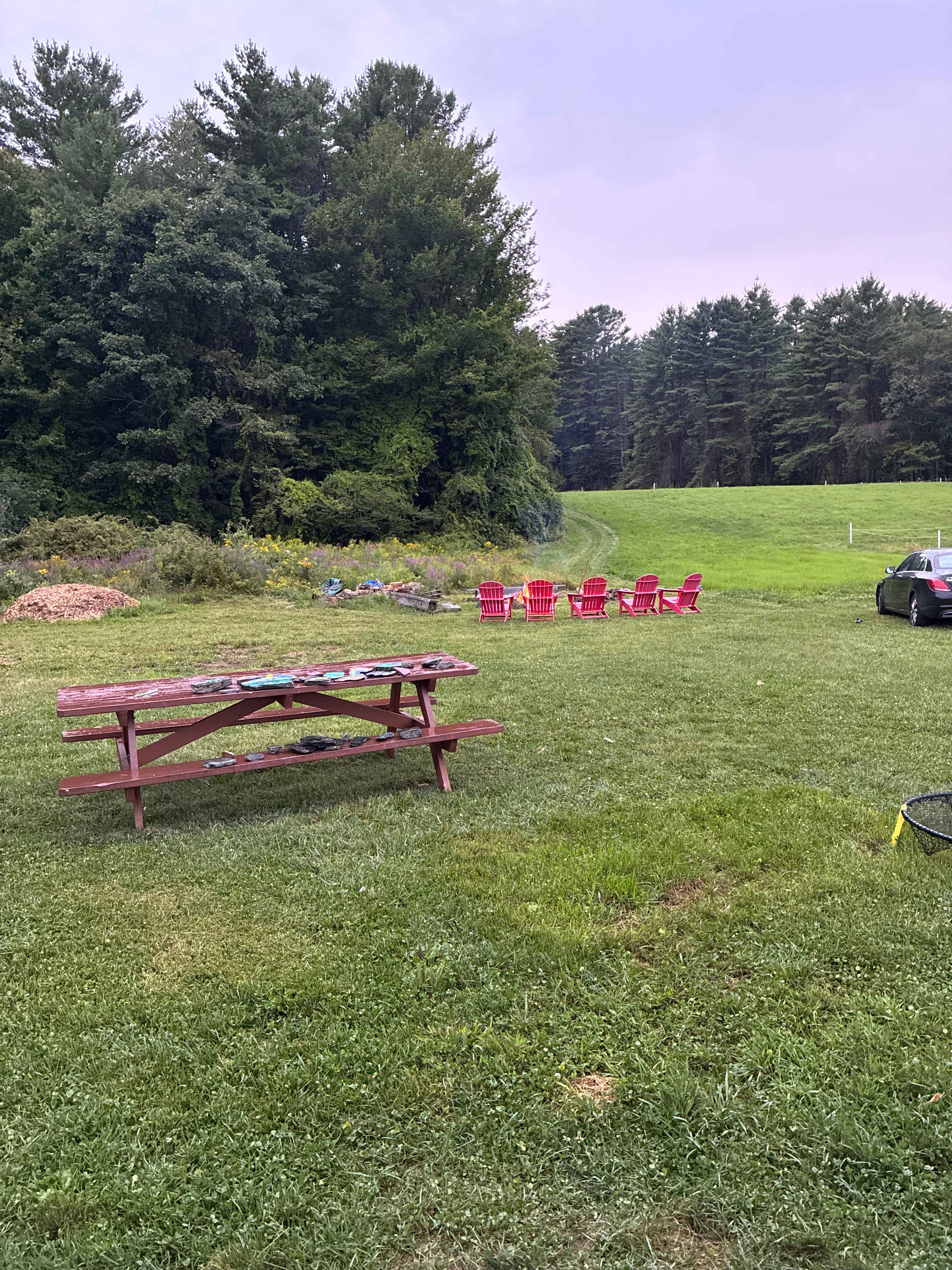 Dancing Bear Farm