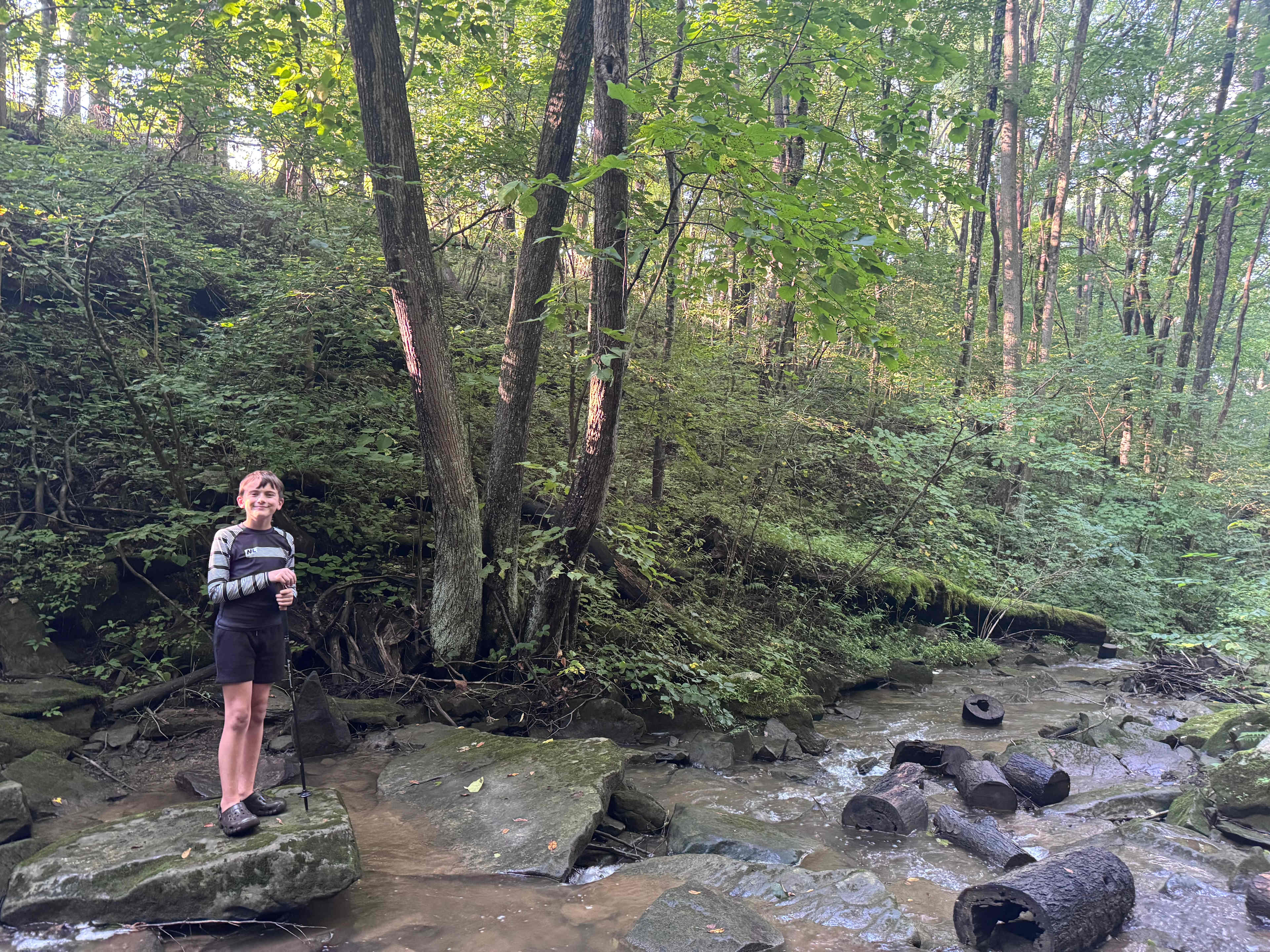 The stream at the falls