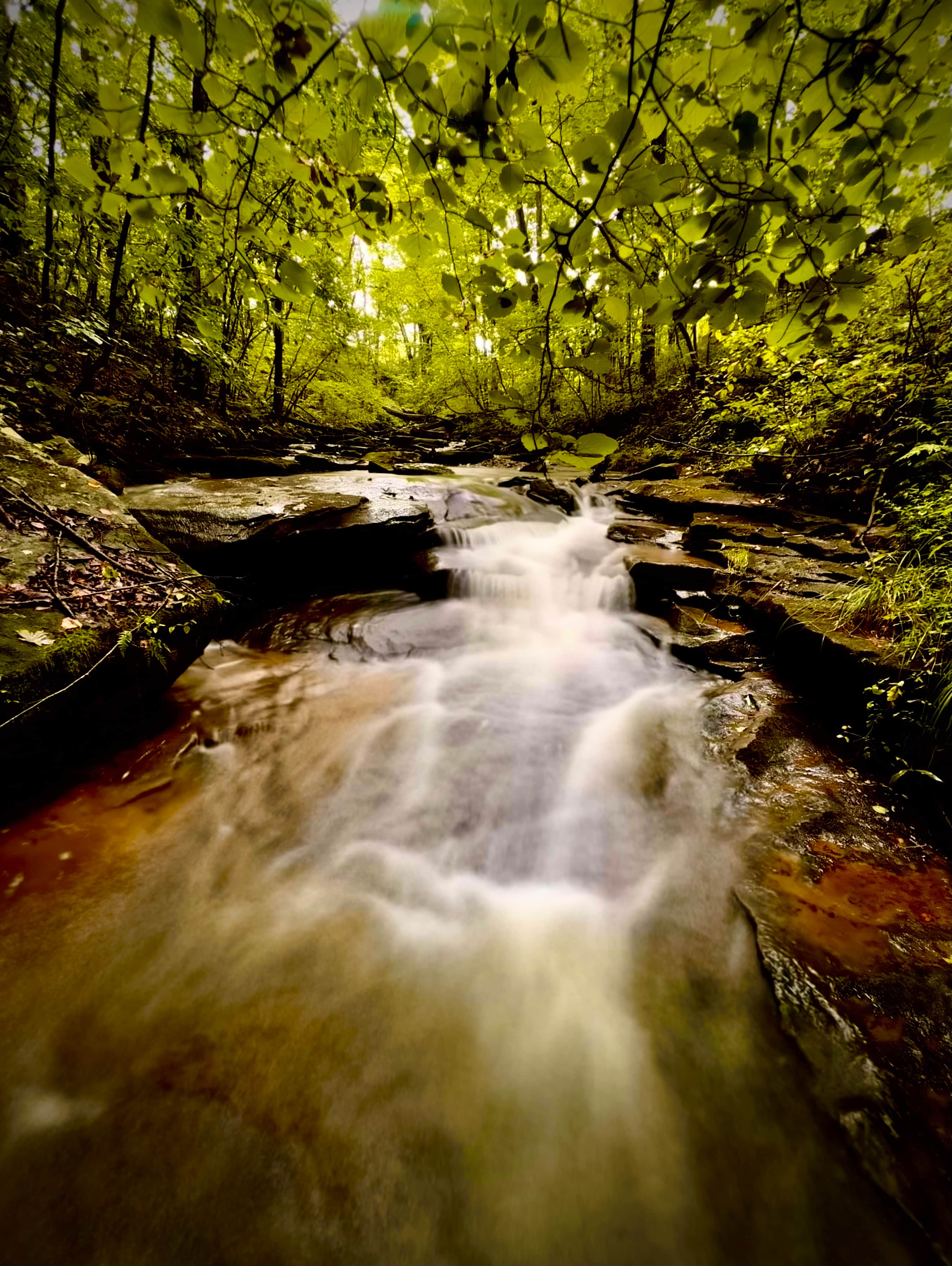 River Hills Above the Allegheny