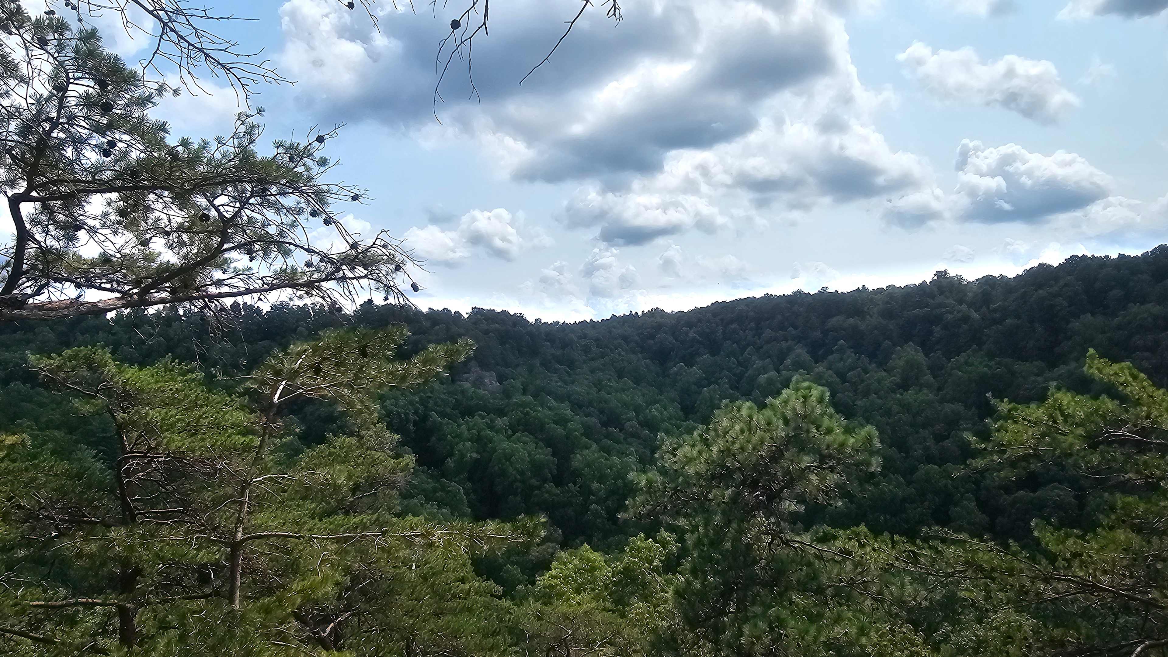 The LAAAAND (just you & 50 acres)