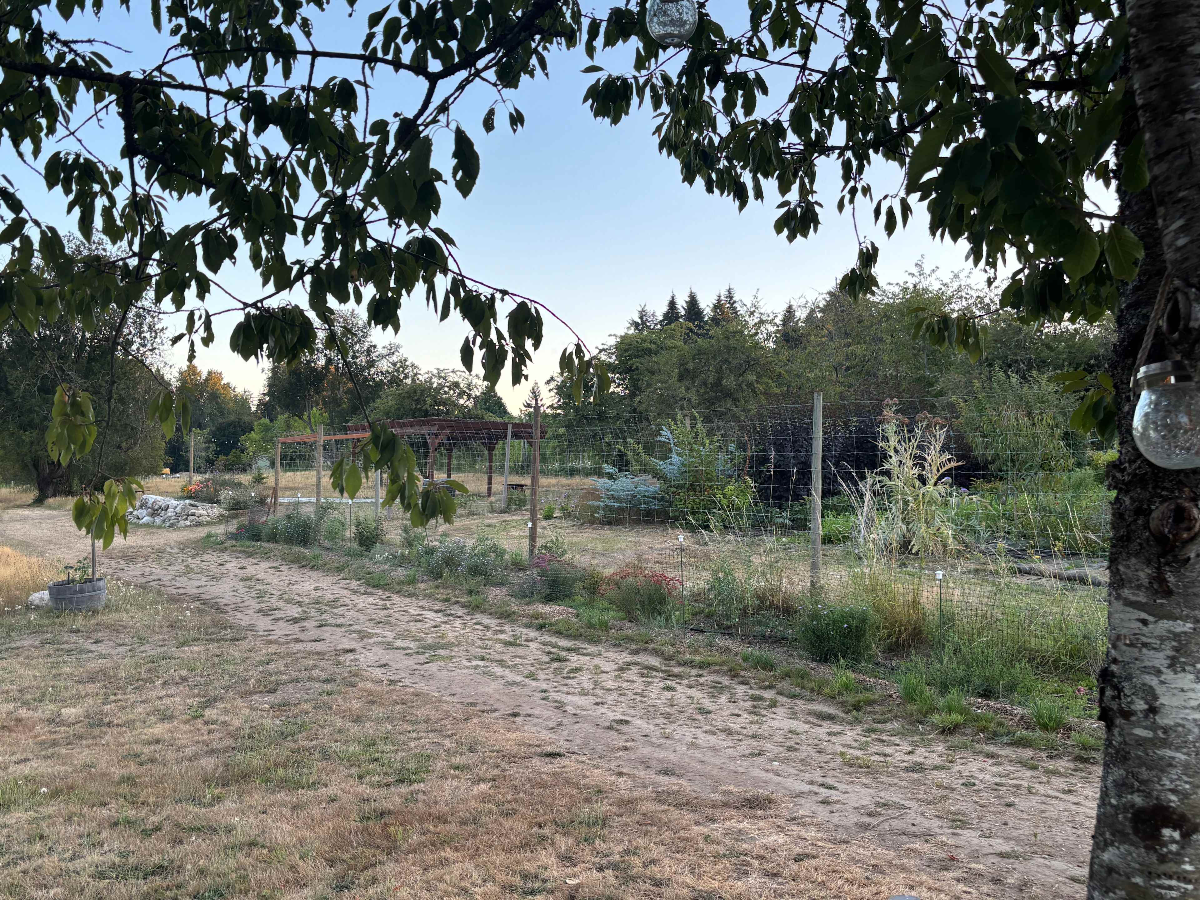 Sweet Alyssum Farm - Tent Camping