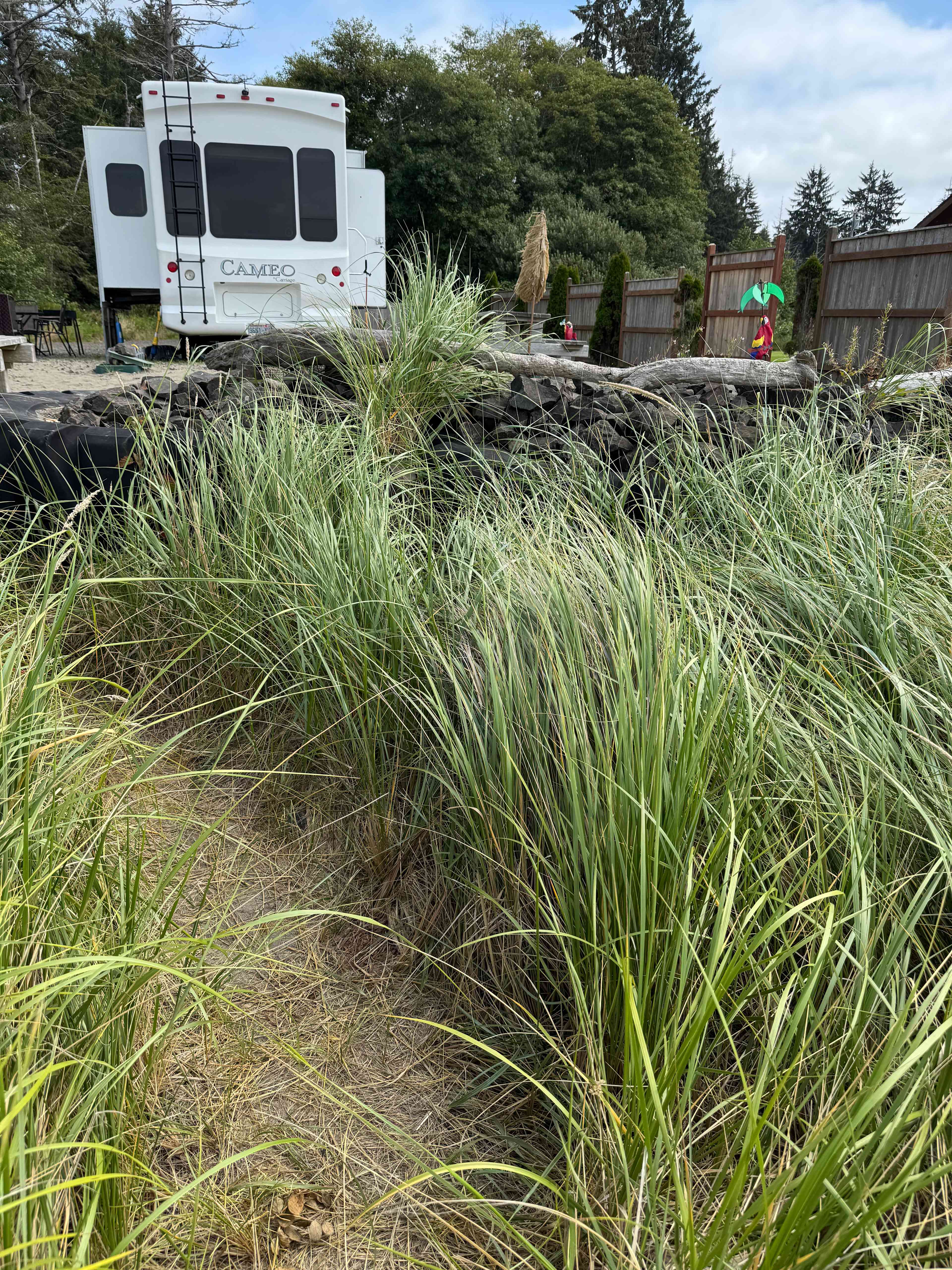 Unique Bay Front Camping - RV ONLY