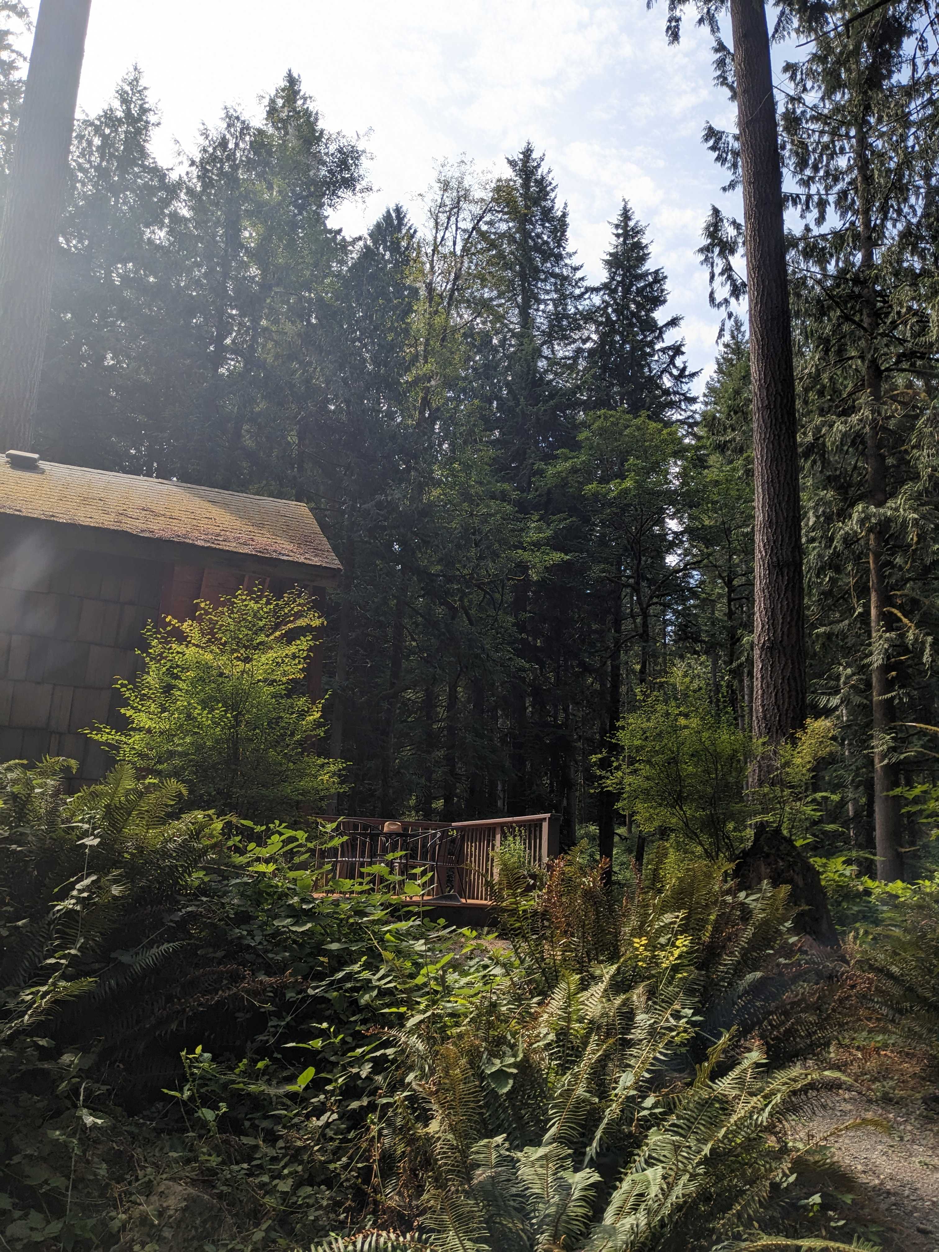 Valhalla Tree Farm