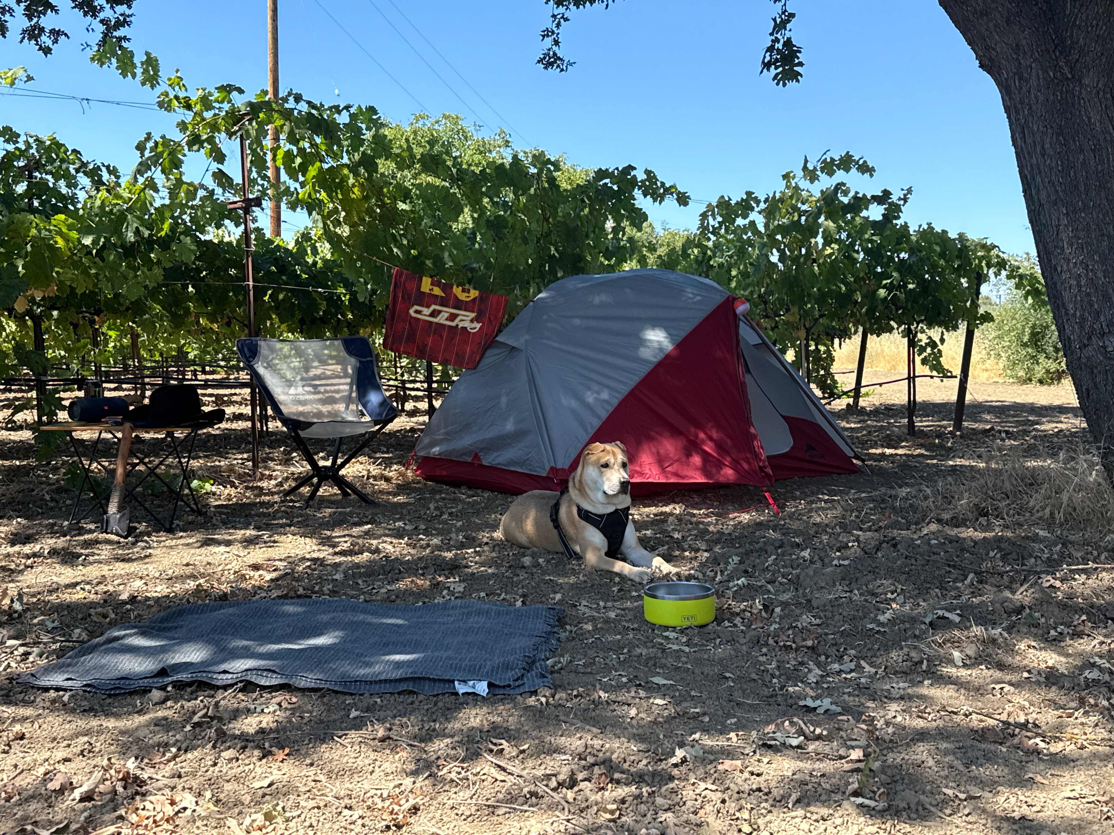 The Ripe Choice Farm Stay