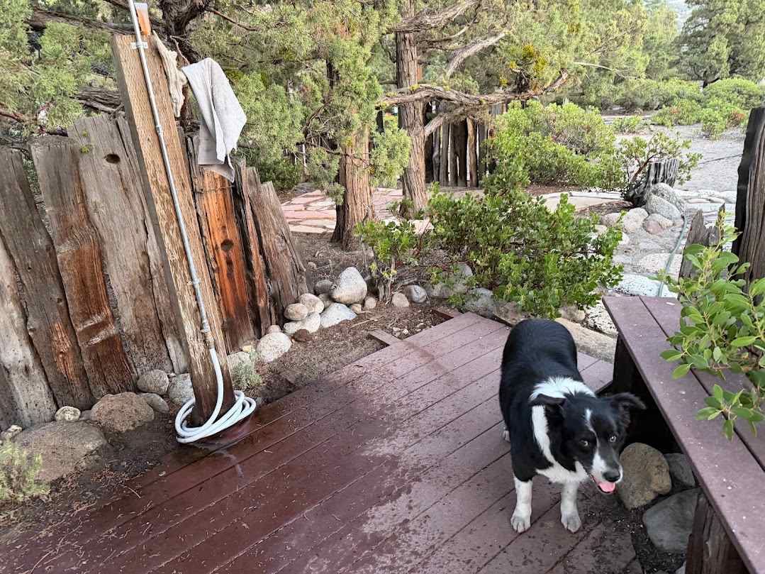 Outdoor shower