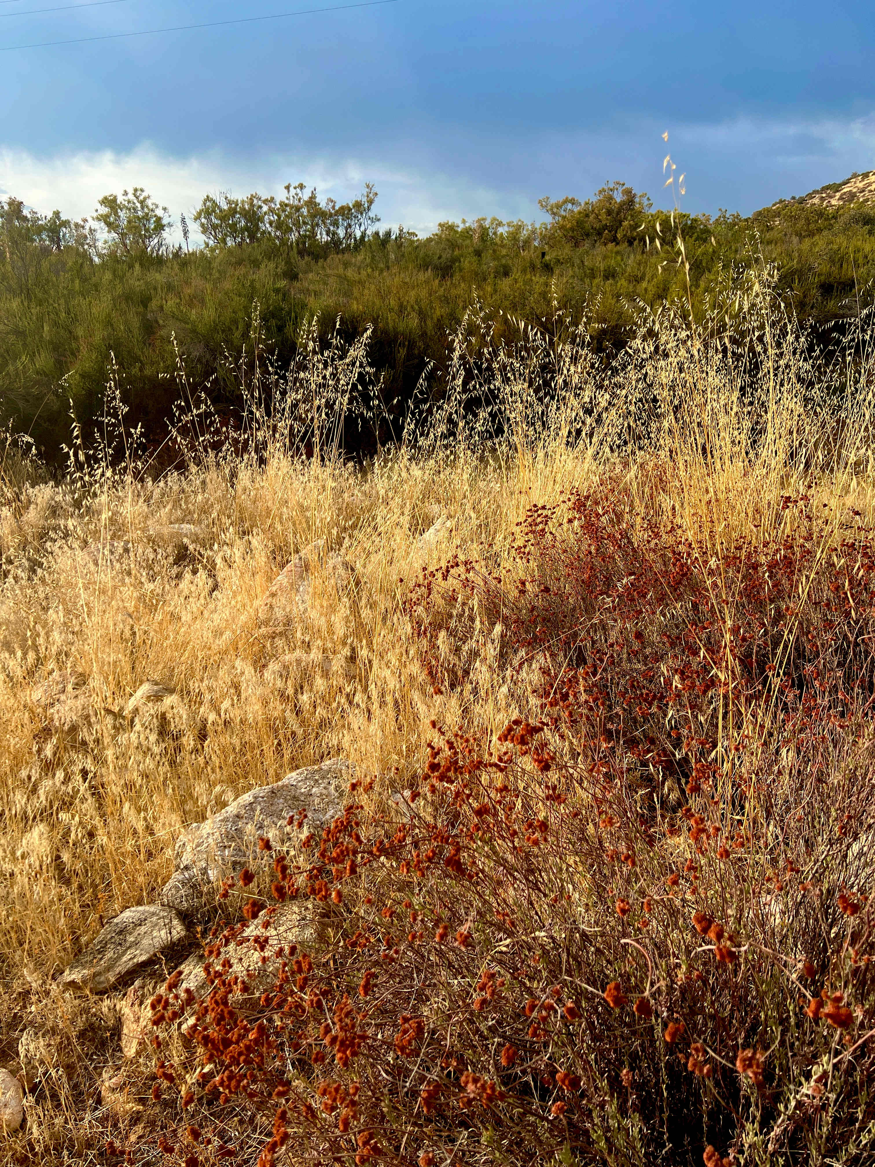 Manzanita Village Retreat