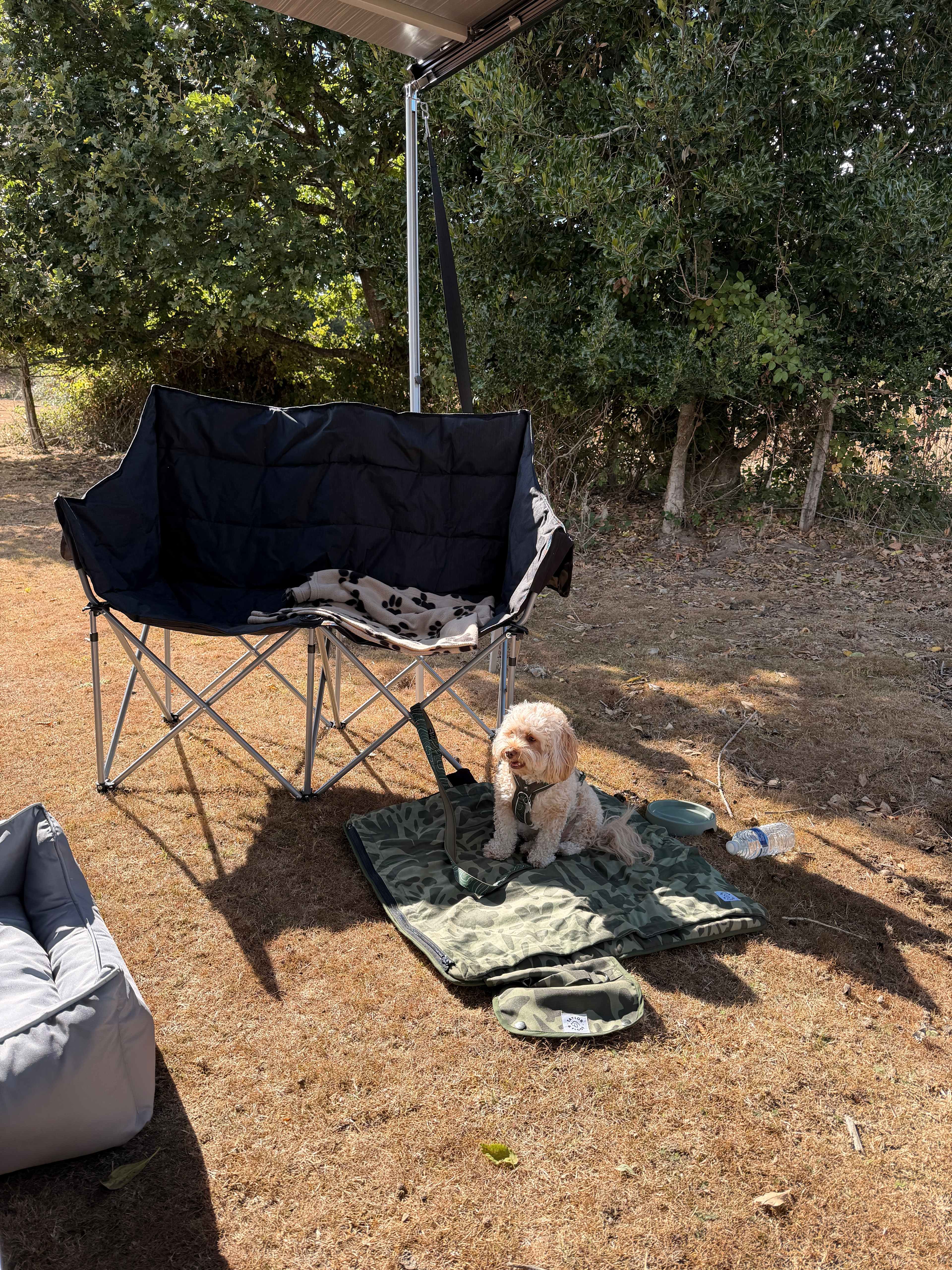 Small Trees Campsite