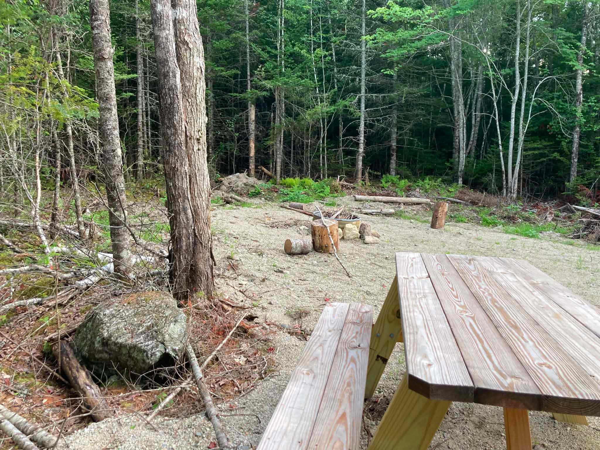 Forest Camps