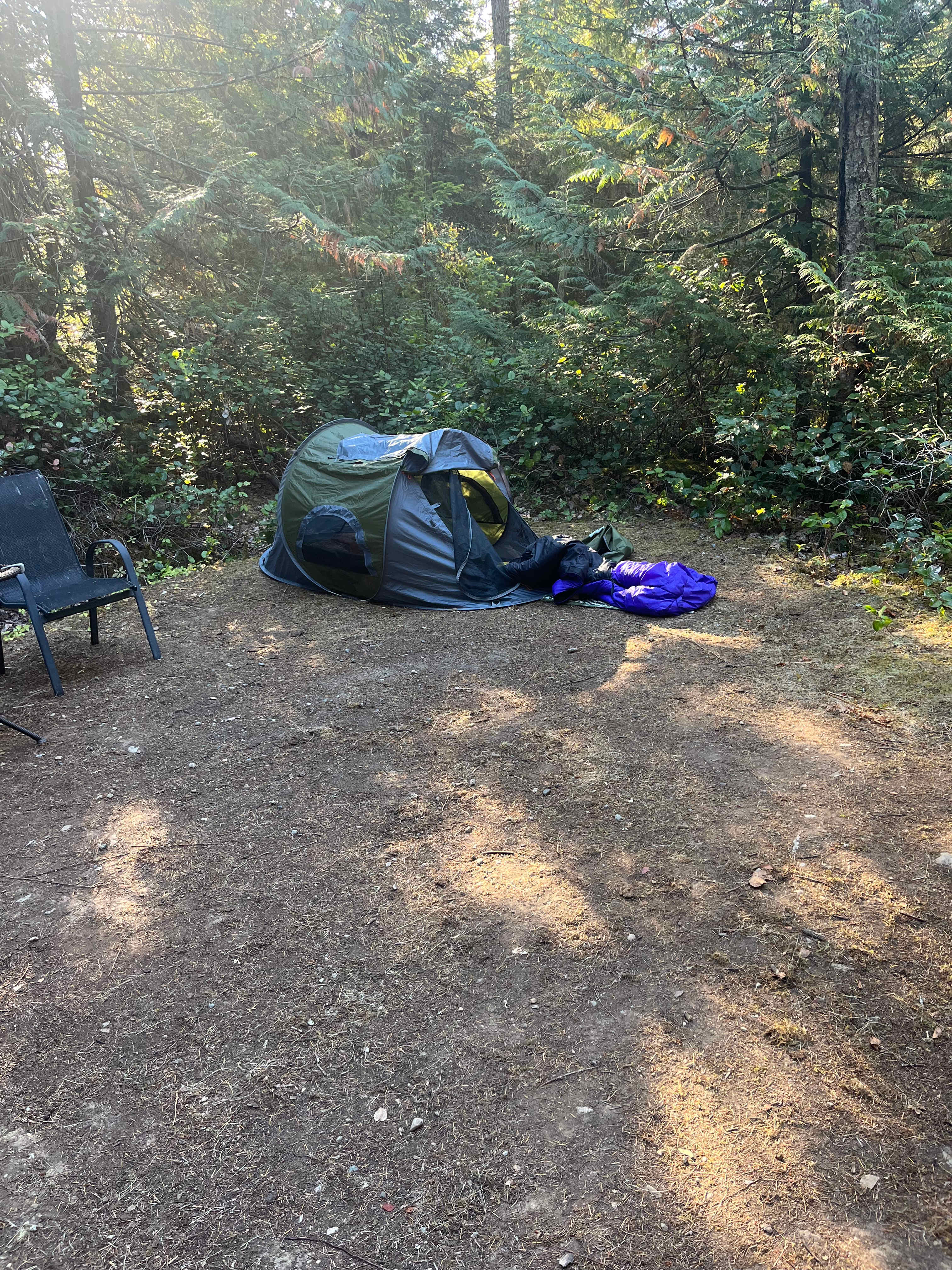 Rejeanne's Forest on Salt Spring