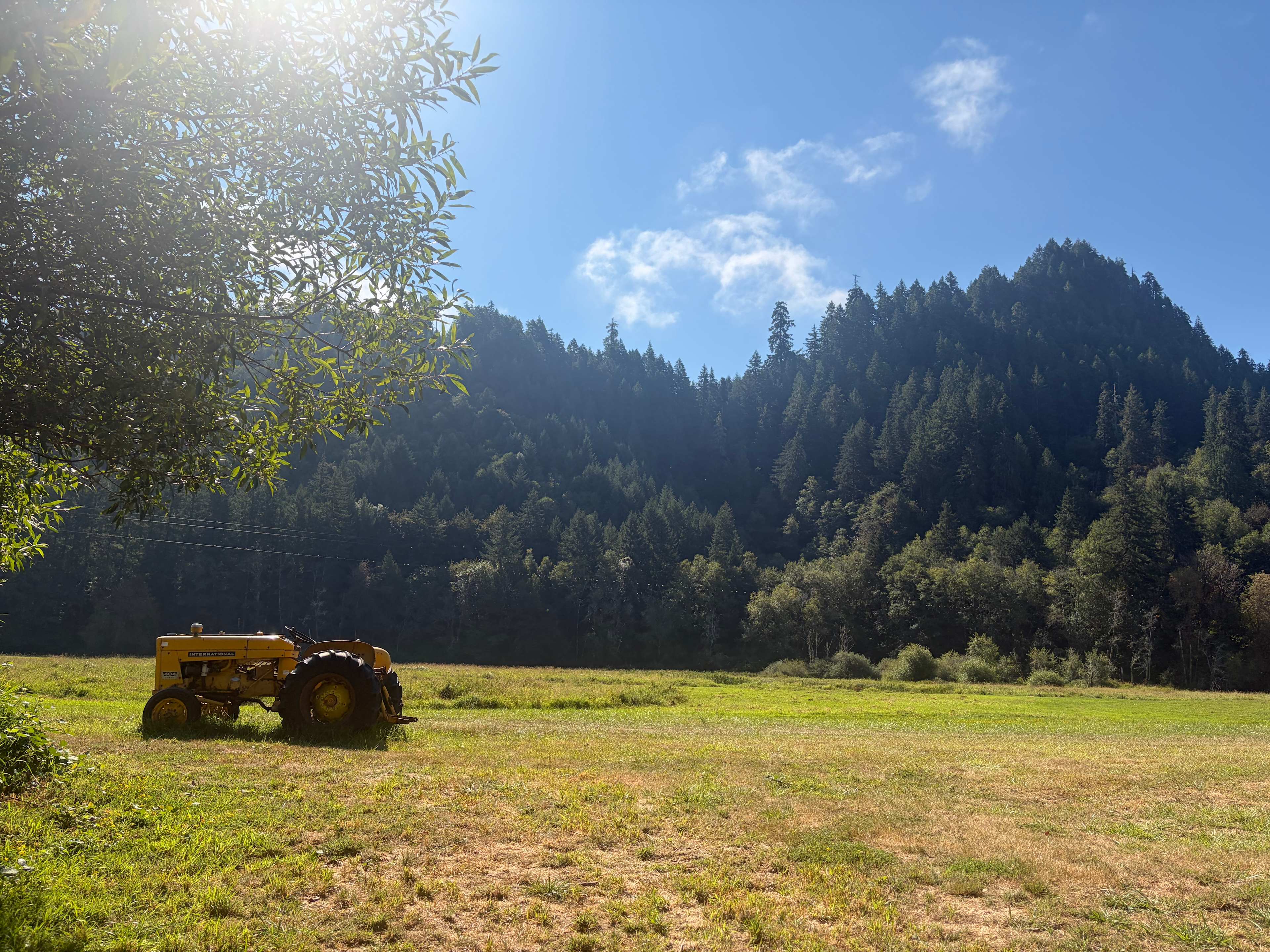 The Park at Loon Lake