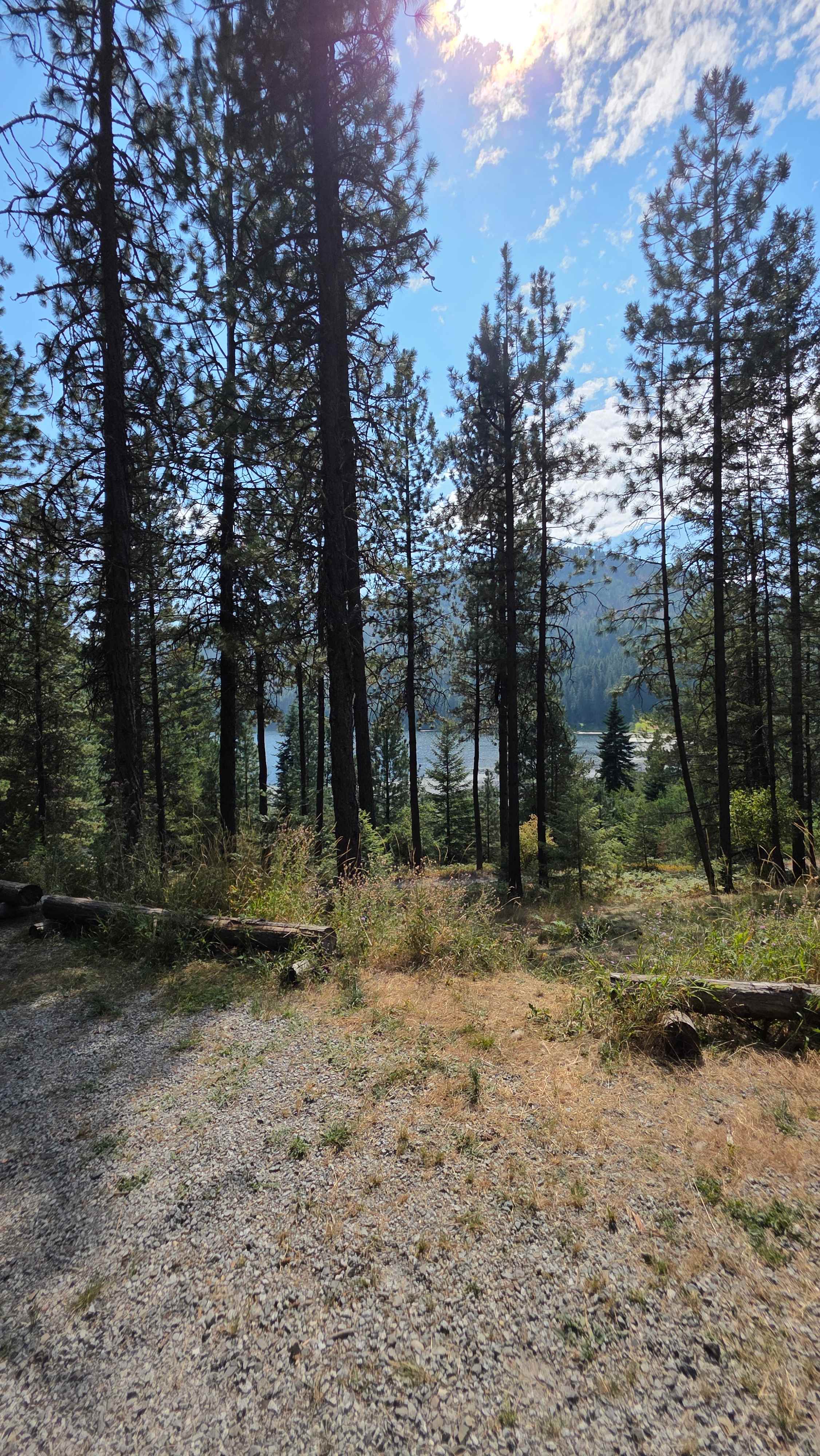 Paradise on Mirror Lake