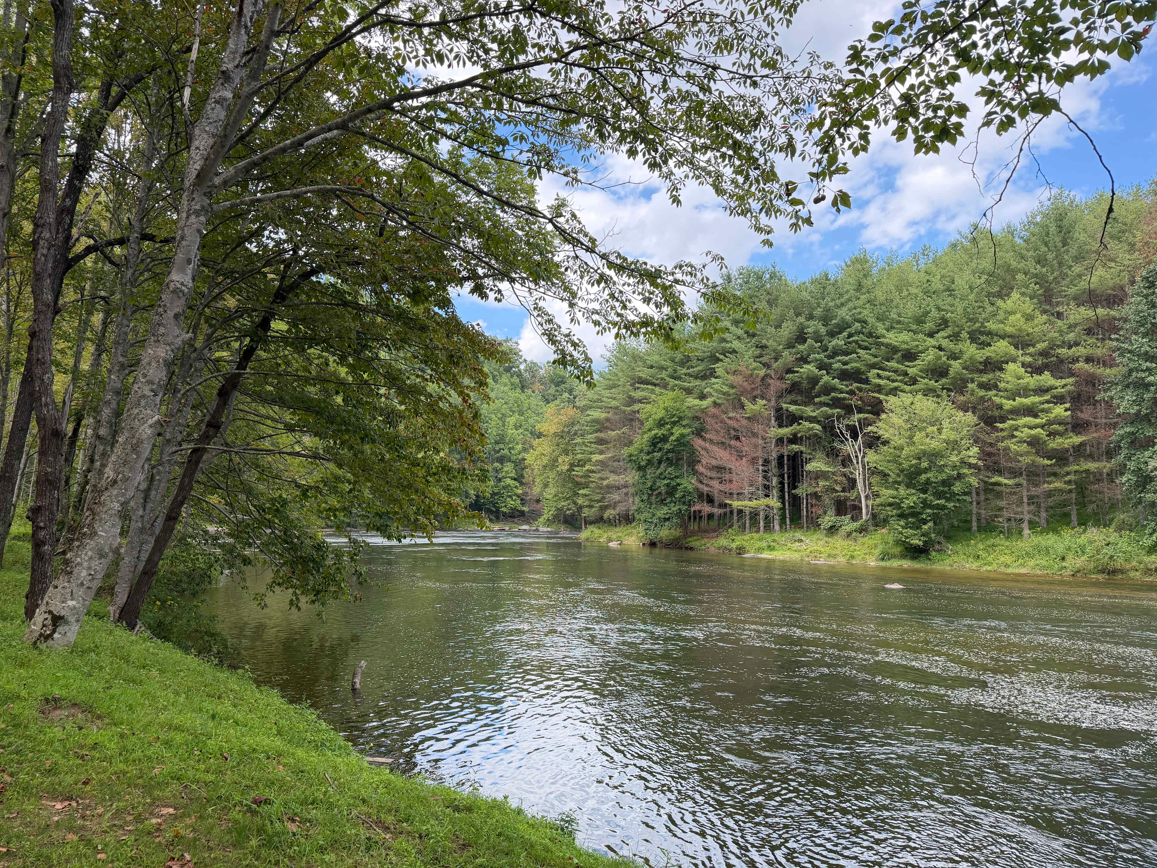 Peak A View Farm & Camp