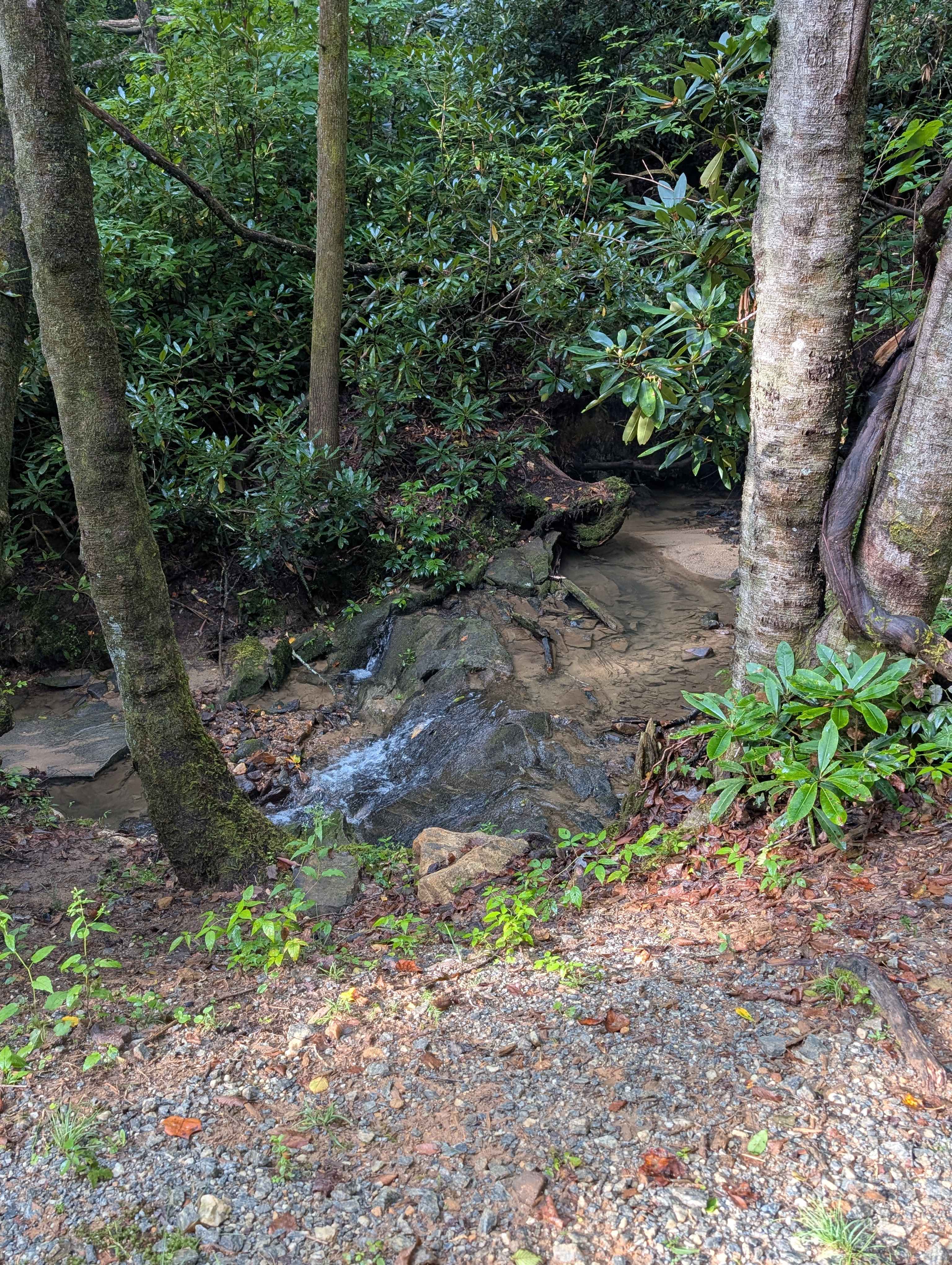Toxaway Camp & Glamp