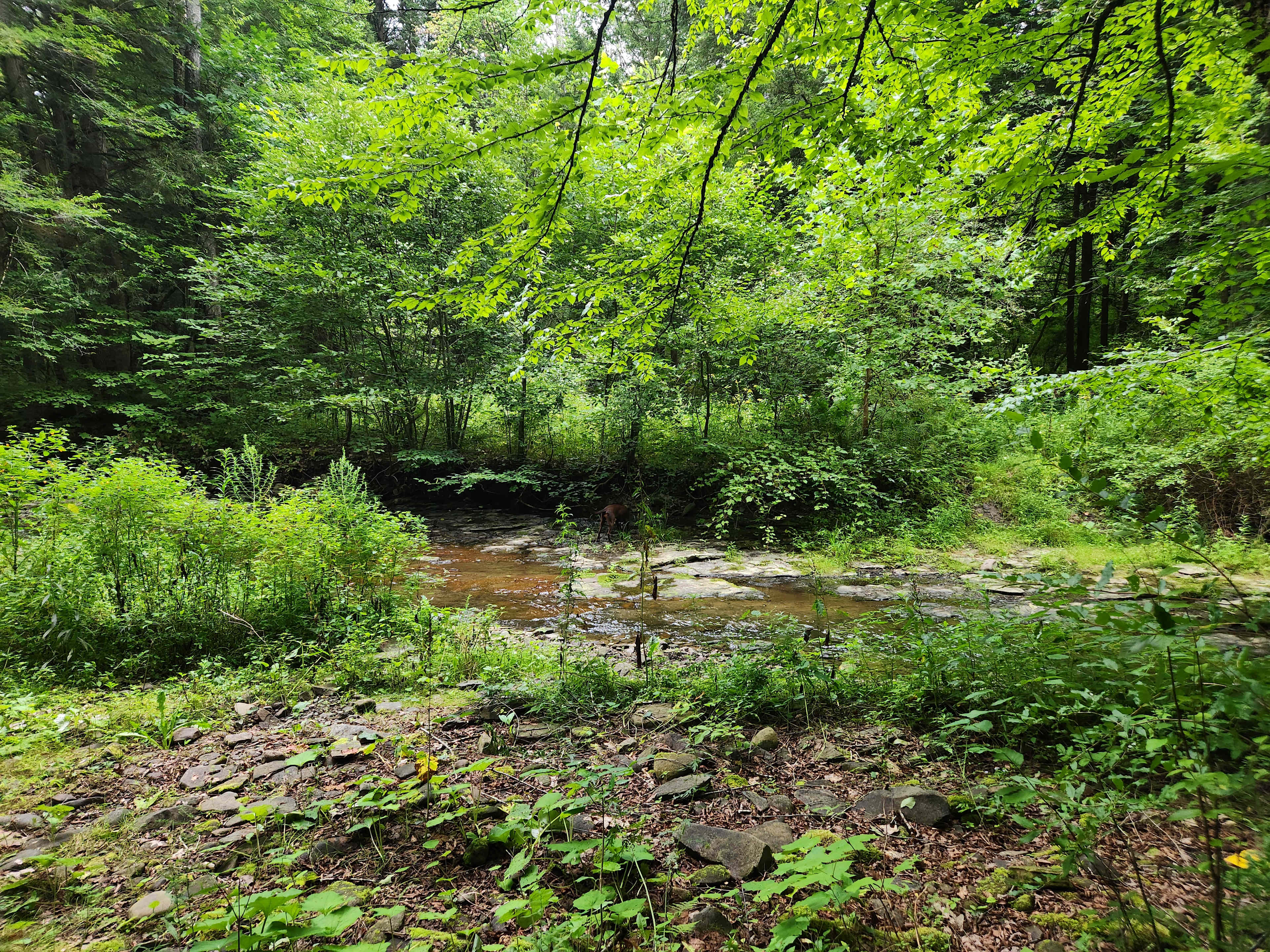 Towner's Country Paradise