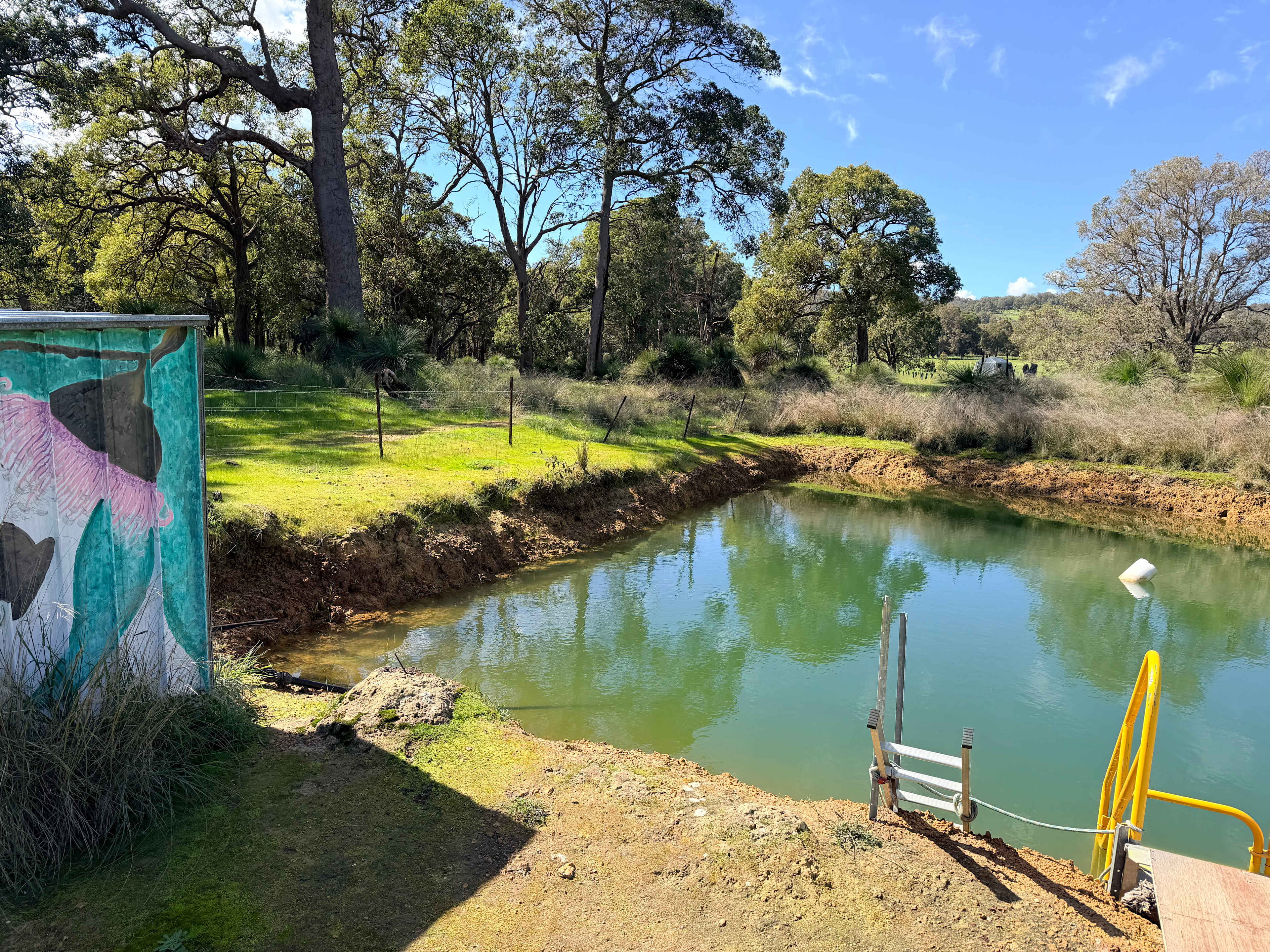 Picture of the site