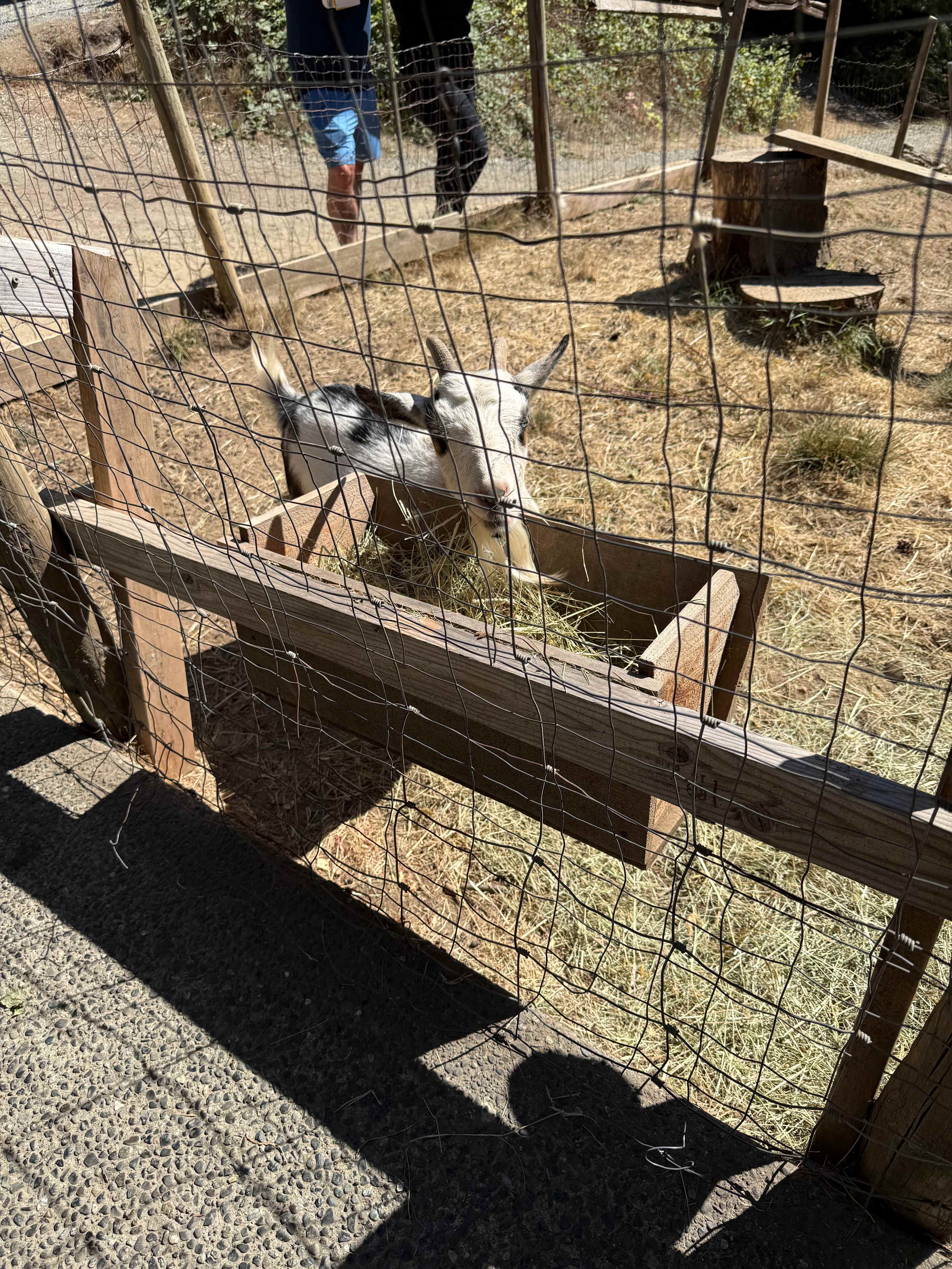 Murphy’s Farm