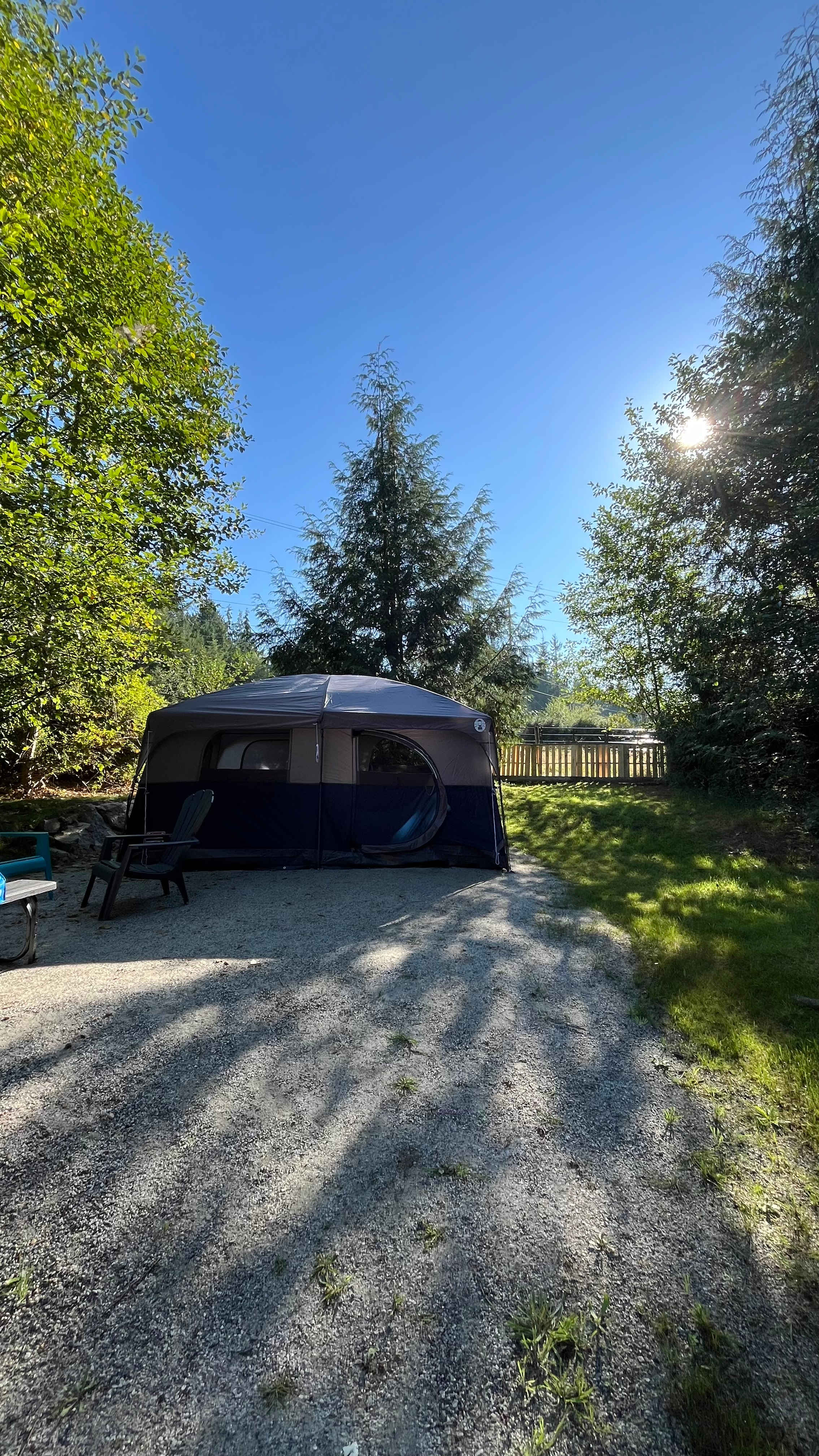 Our site Cow’s Pad