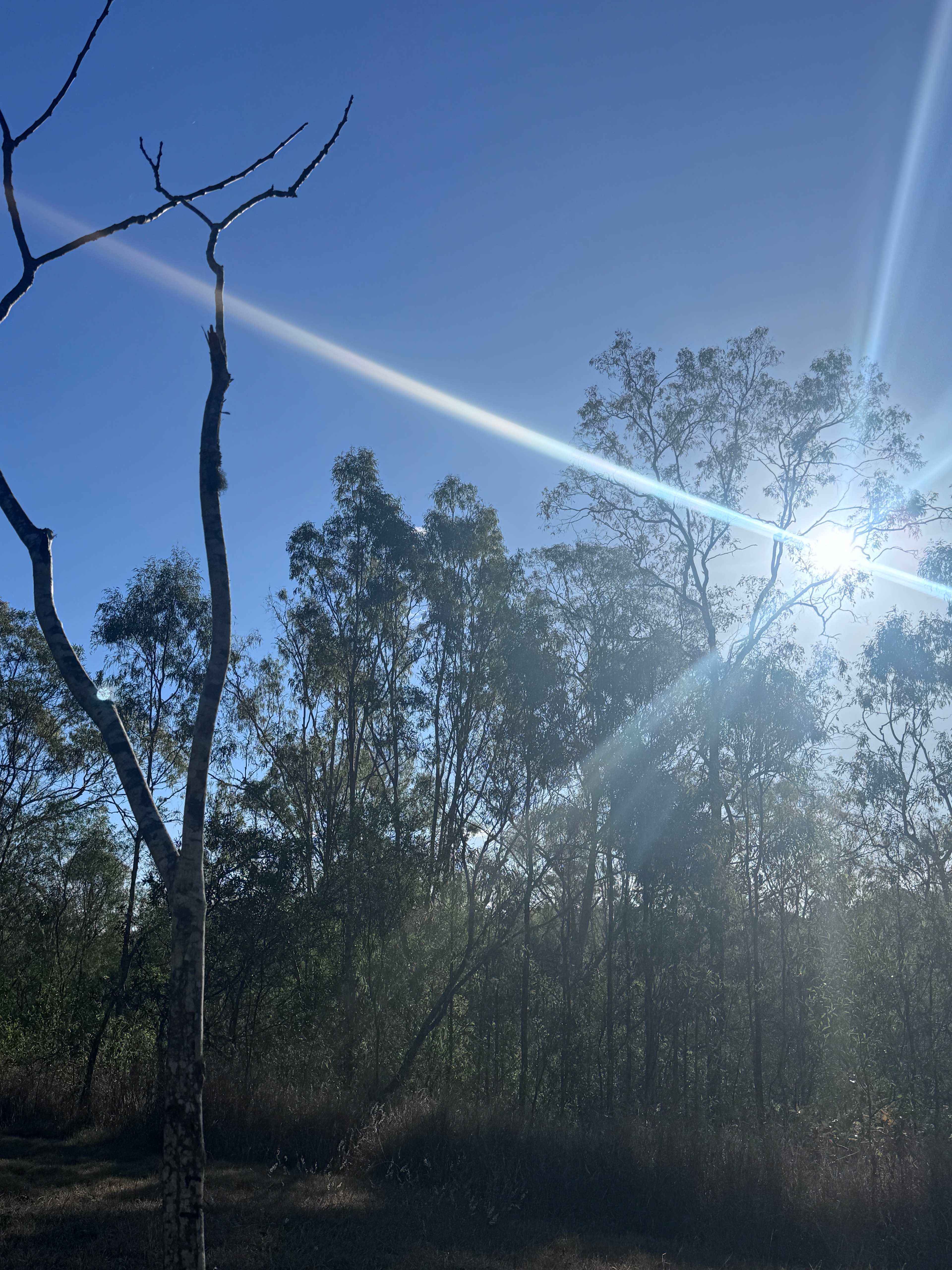 Northbrook Skies Camping