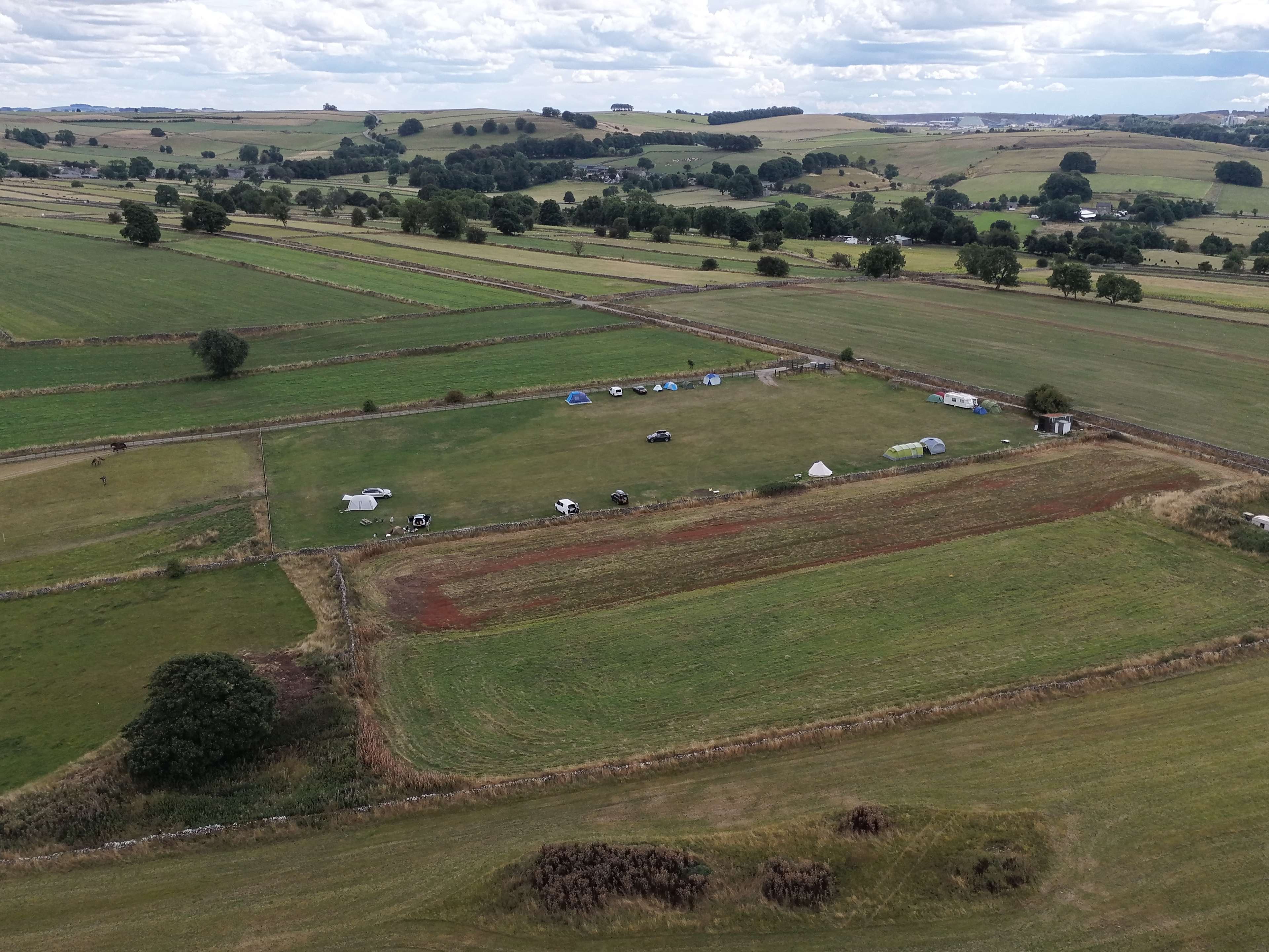 One of the fielfds